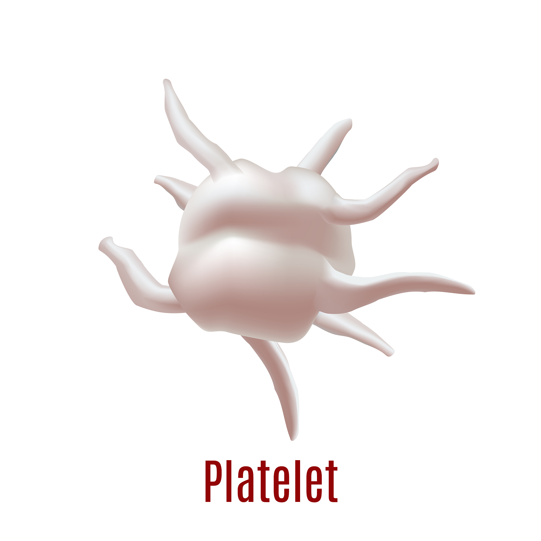 QR值测量：解读血小板功能的关键指标