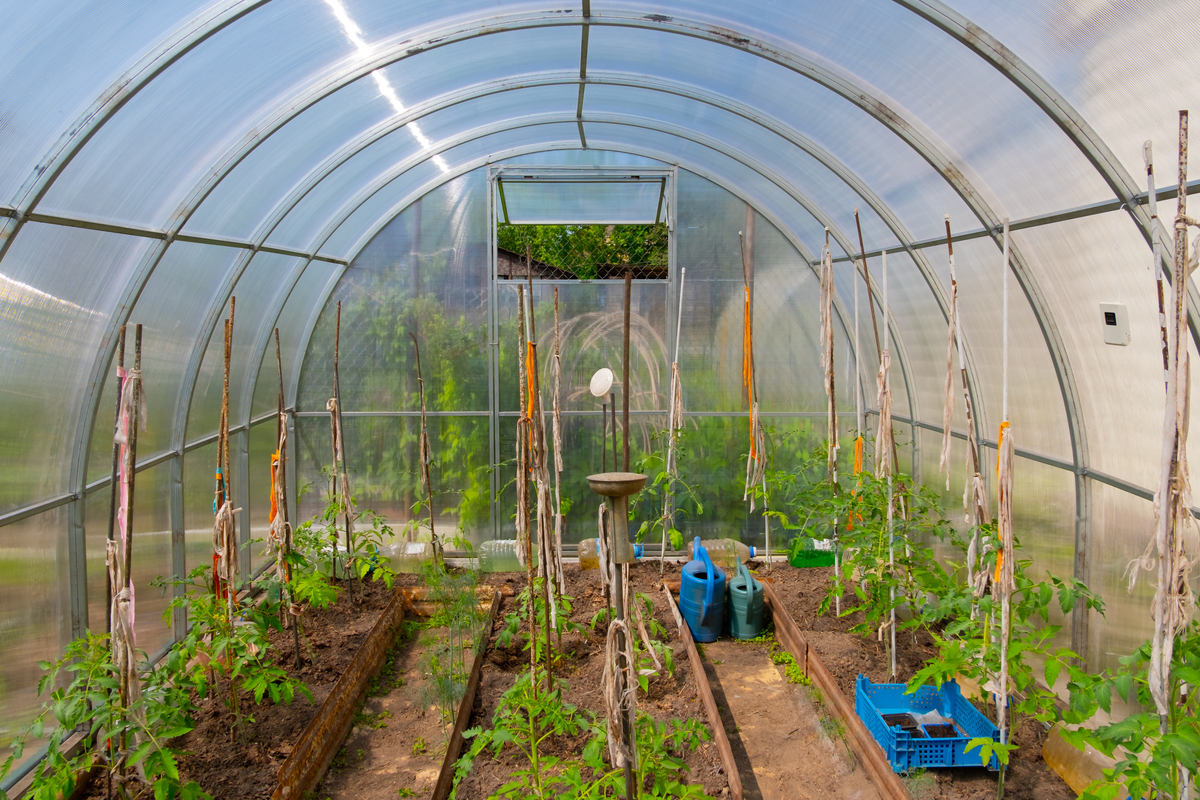 中意生态园的产业