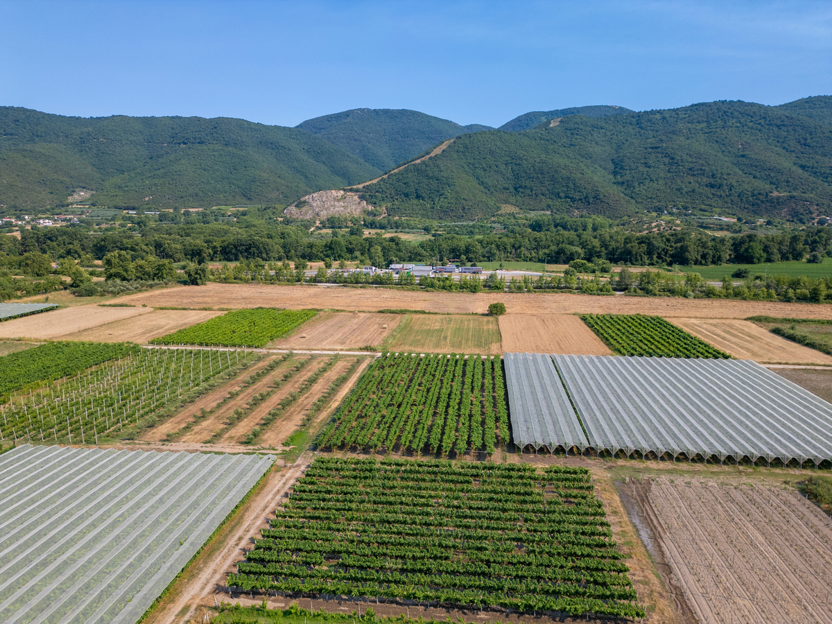 县示范家庭农场典型案例：王家农场有机农业实践