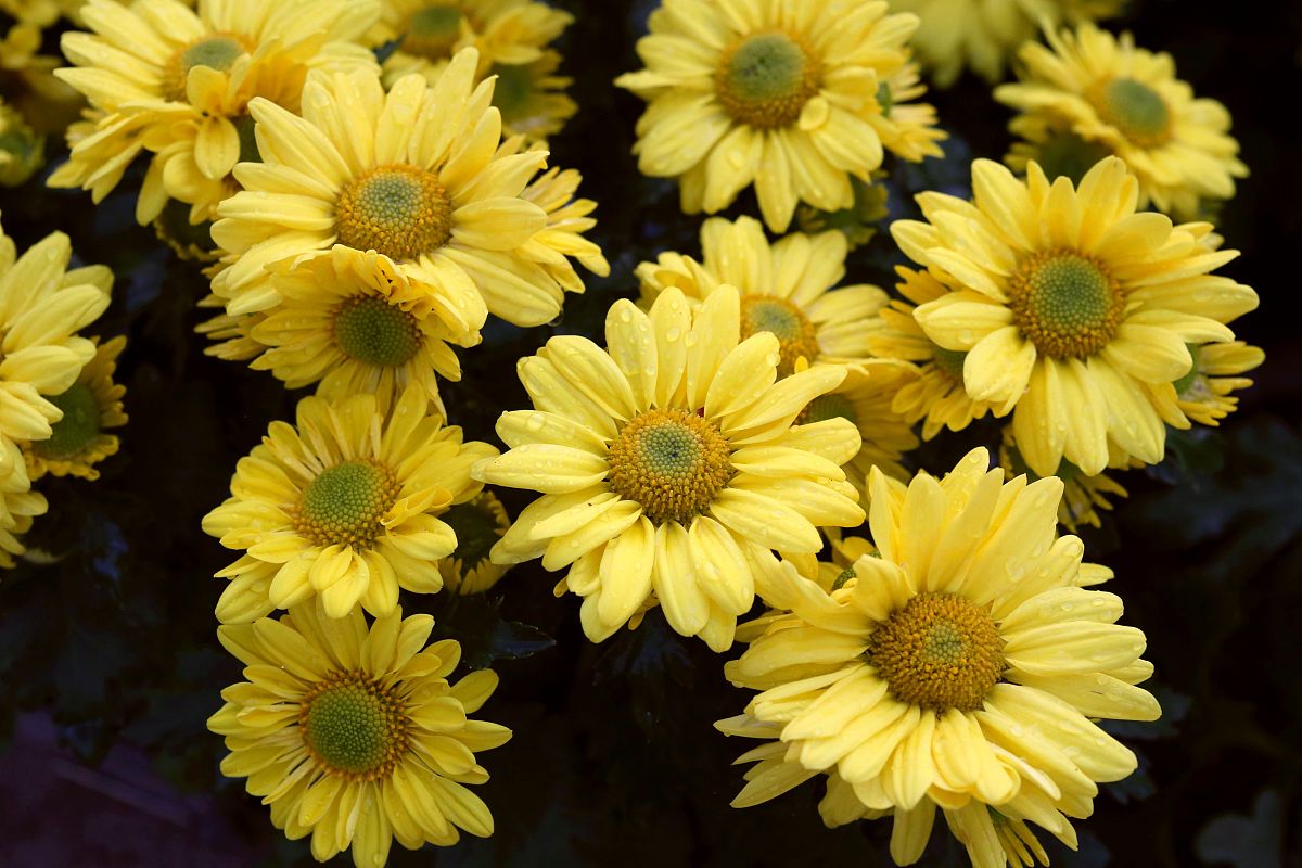 生成一份实习单位鉴定