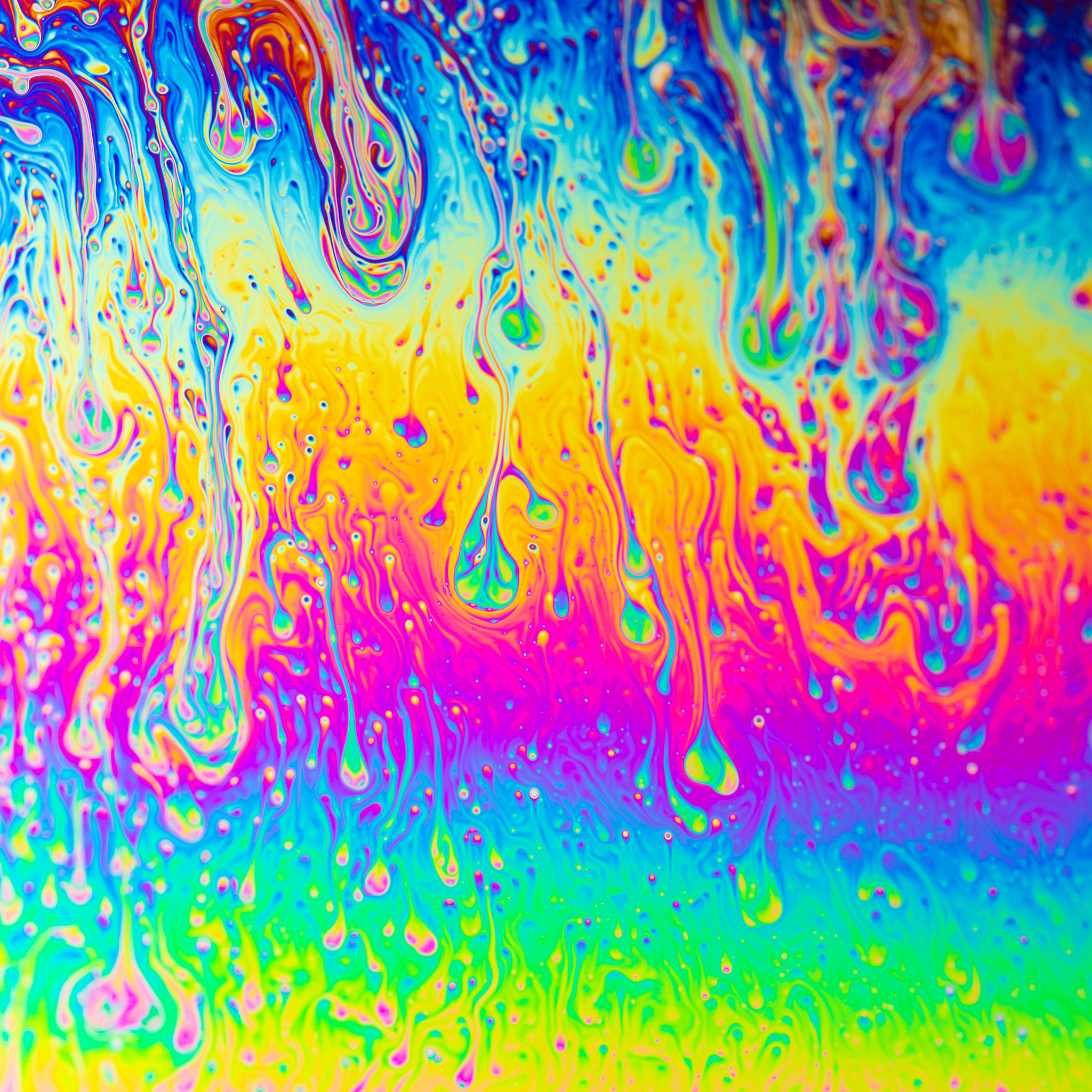 高不成低不就是什么意思_词语高不成低不就的意思