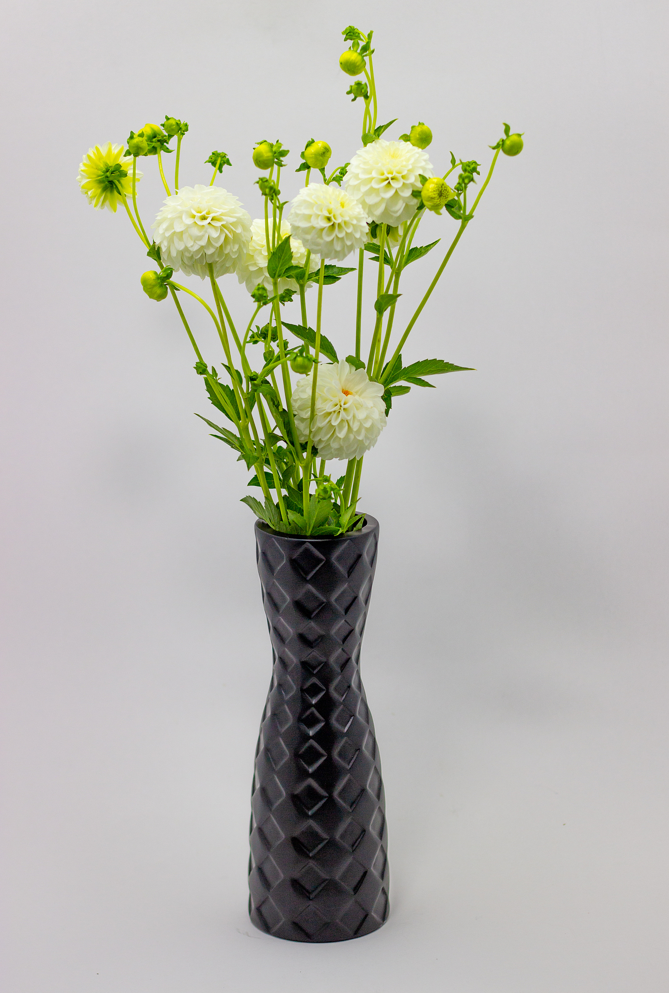 white dahlia in a vase on a dark background. bouquet of white da