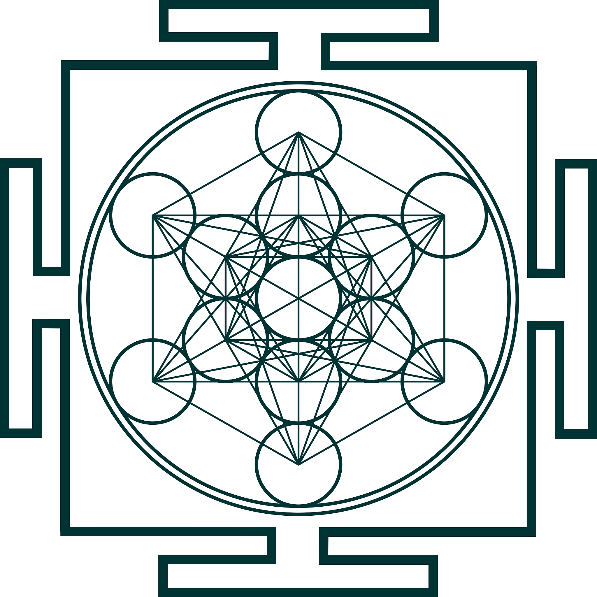 神圣天使兽的伙伴数码宝贝有哪些？