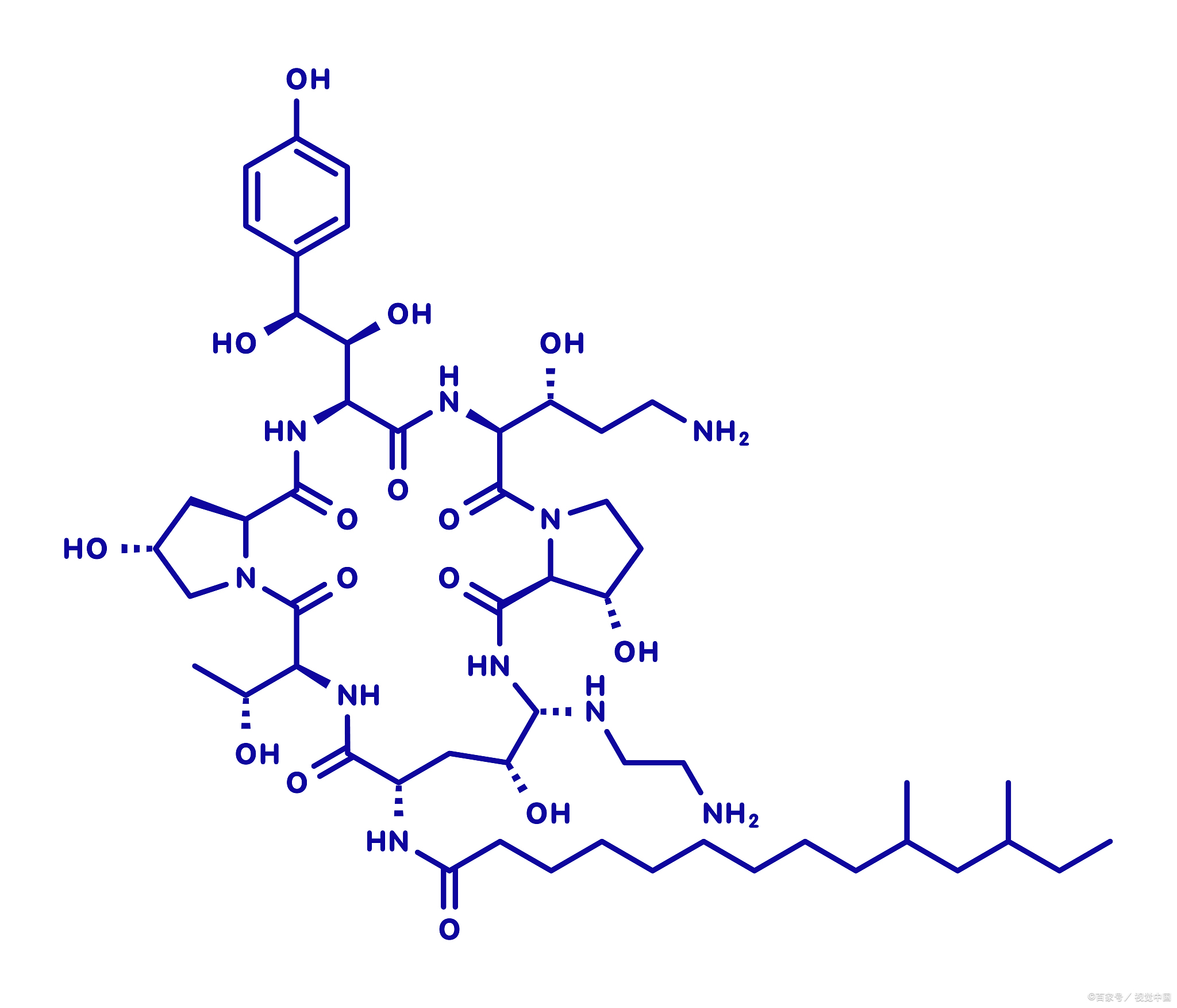 细胞能量代谢的关键指标：HPLC法精确测定ADP含量