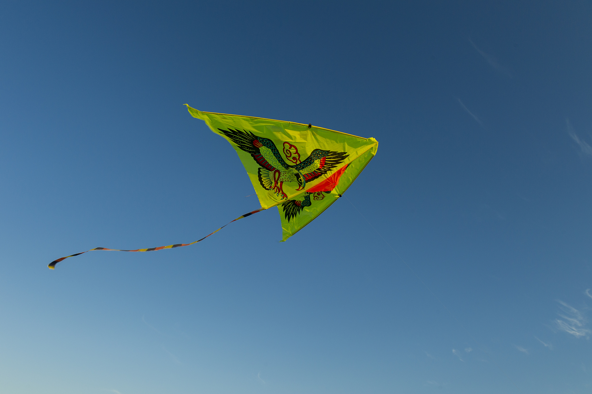 kite flying in the sky