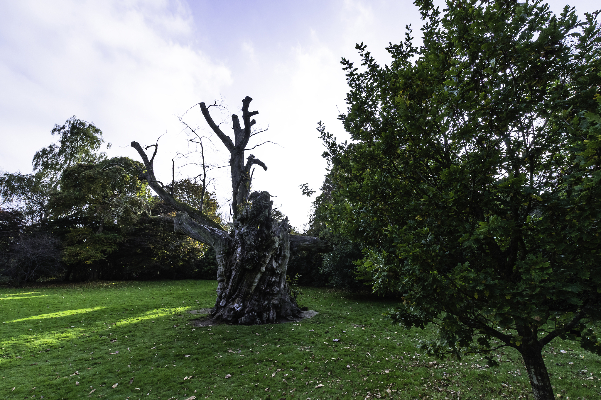 永劫无间胡桃死了 扩写