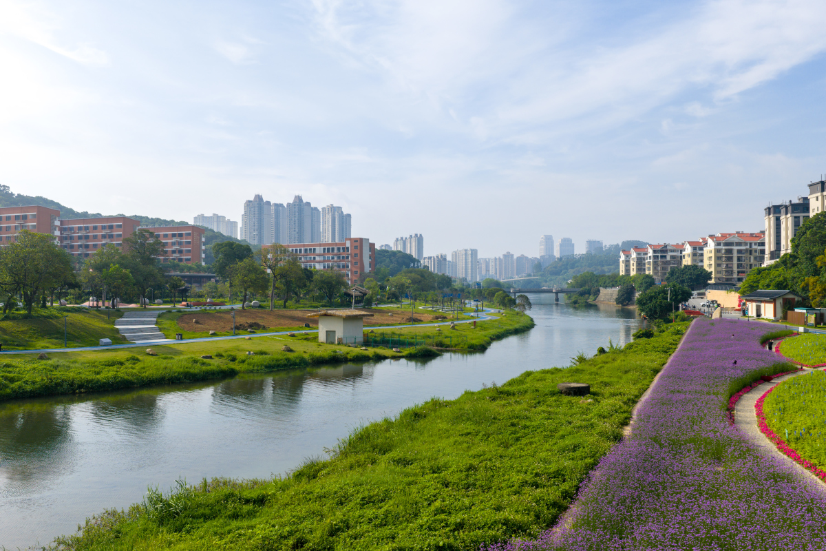 重庆近年来环境的变化