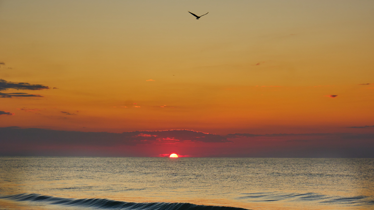 海边追日落：古诗赏析，感受夕阳美景