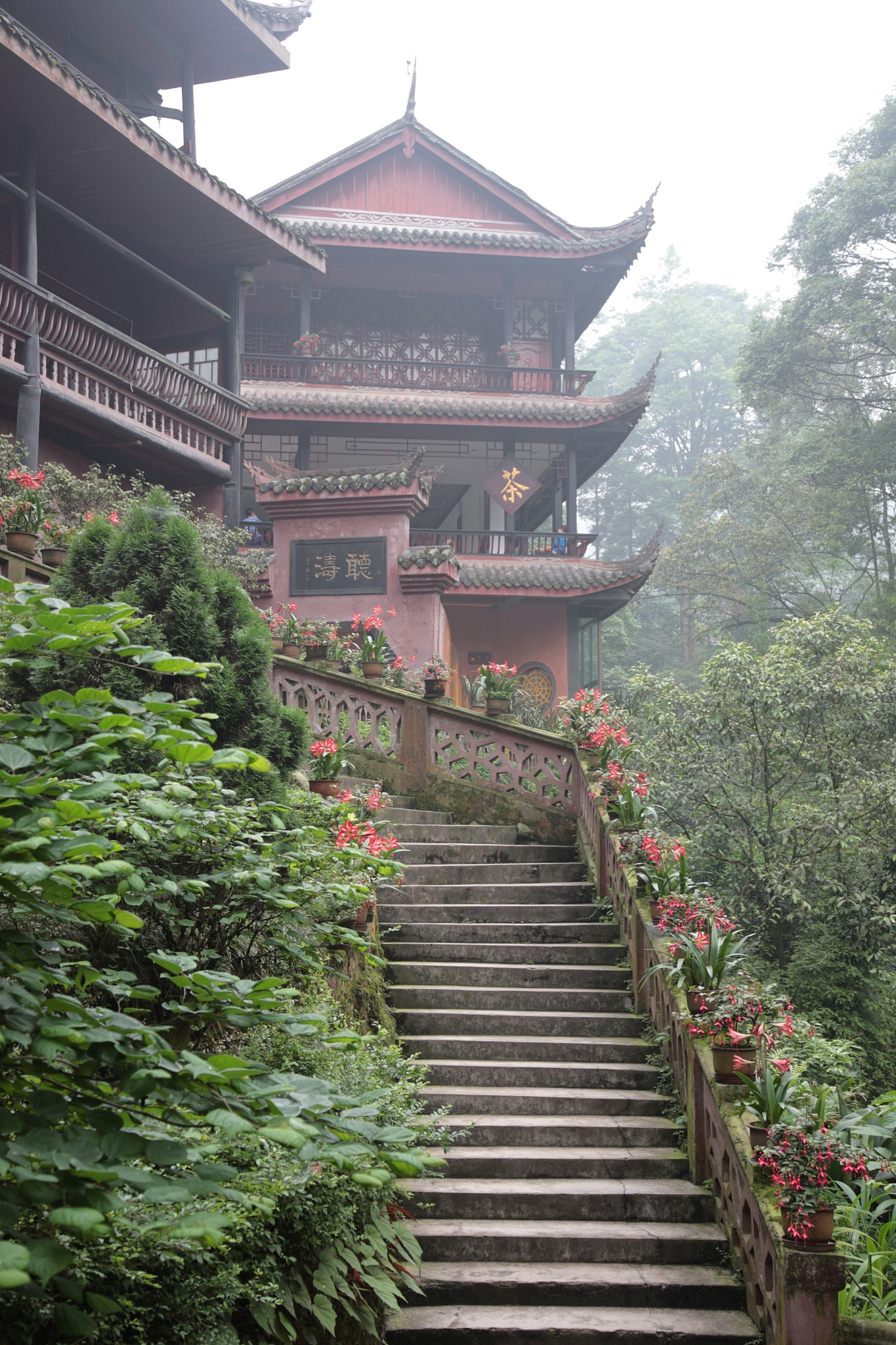 介绍四川宜宾800字