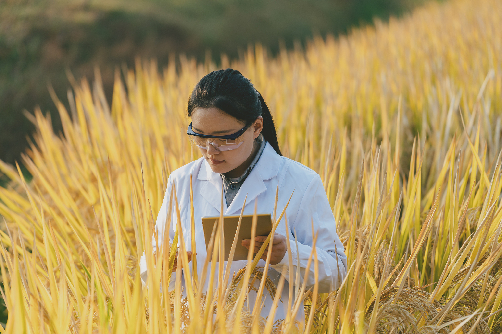 Chilean Journal of Agricultural Research期刊范围 - 农业科学研究