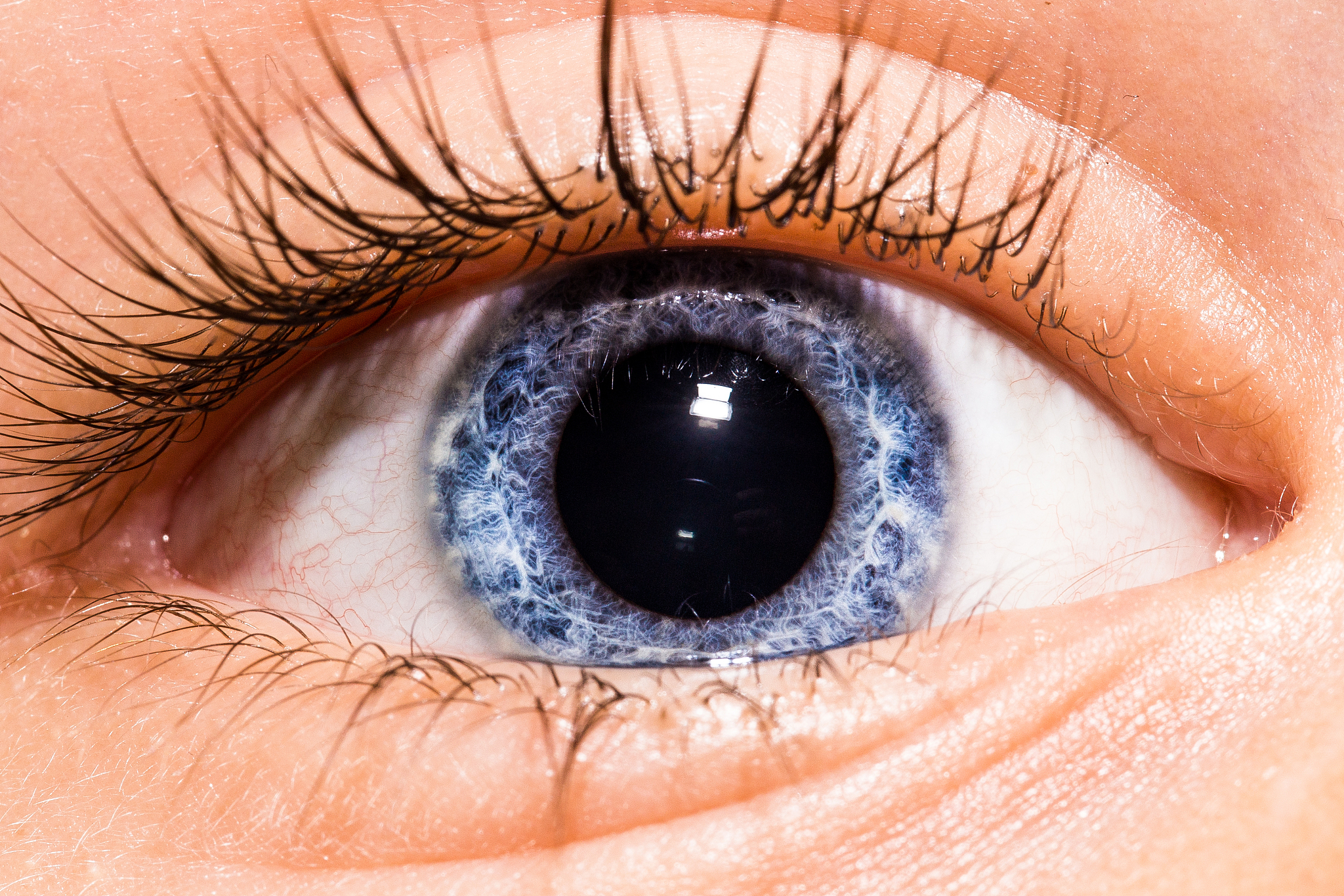 close-up of purple human eye