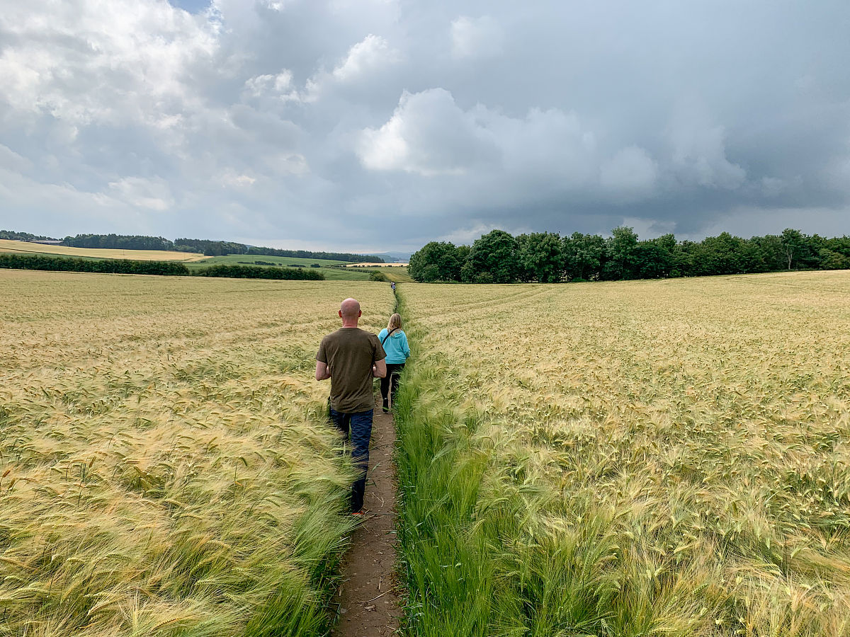 小学生不良行为习惯家庭教育对策：培养良好习惯的十个方法