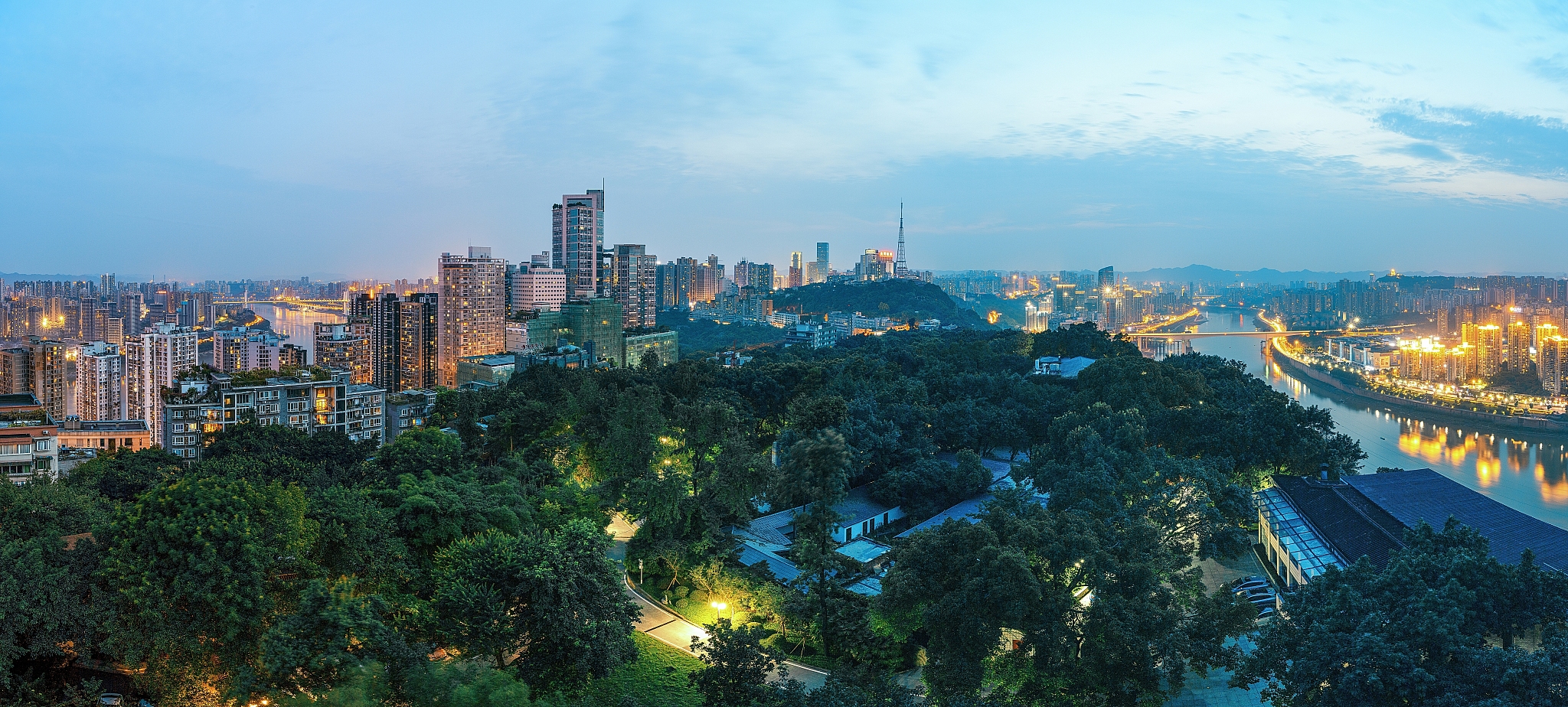 重庆市森林资源保护面临的挑战与问题