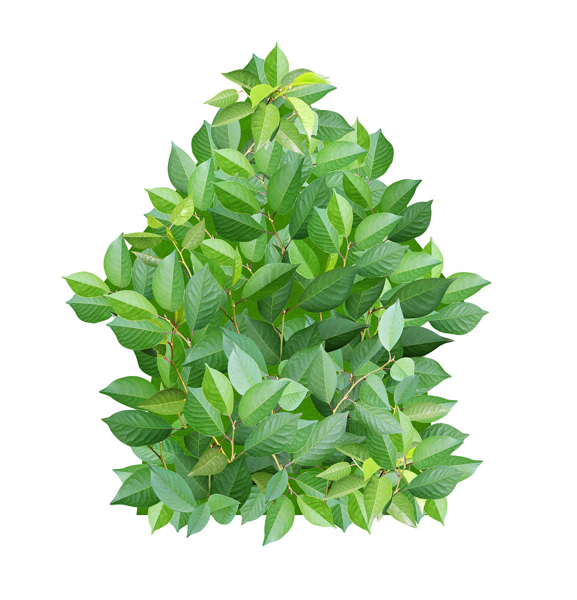 出十个房地产宣传语