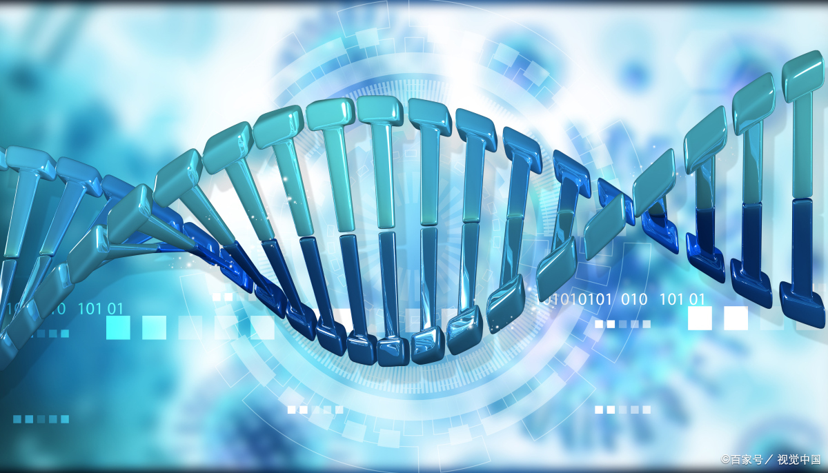 2024重庆分析生化及生化试剂展览会|重庆实验室设备及机械展览会