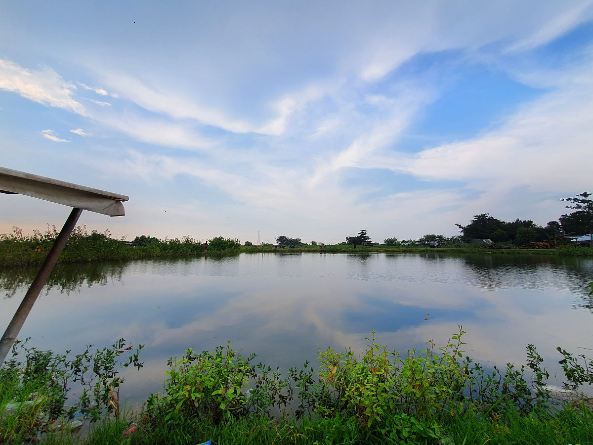 上海嘉定远香湖：亲子休闲好去处，帐篷野餐、湖边垂钓、拓展乐园一应俱全