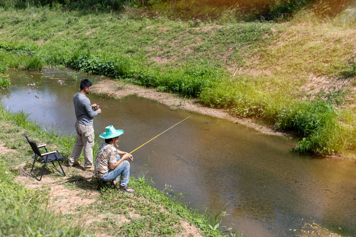 白岱市郊外水池惊现鲤鱼王！小鬼意外邂逅垂钓大叔
