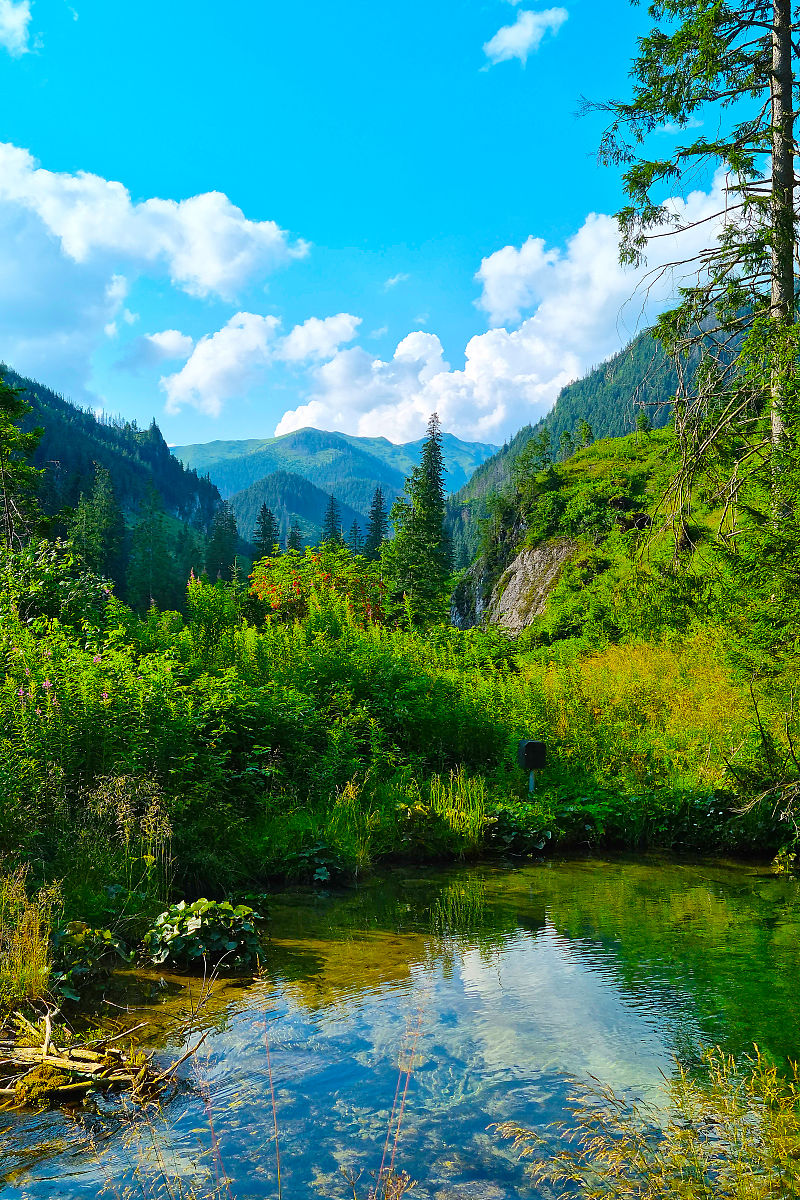 请用100字描述高山环绕、小溪流过平原的场景