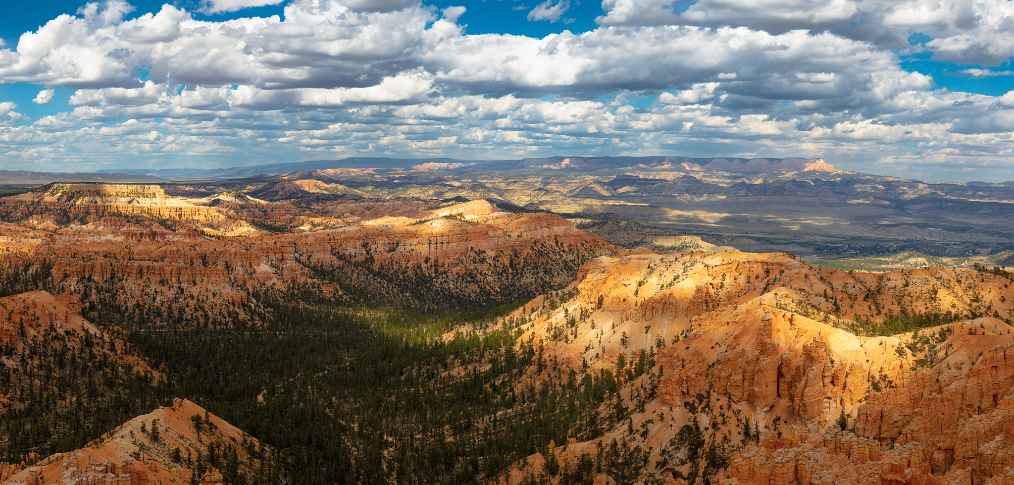 青海大学医学院藏医学专业课程设置及未来发展