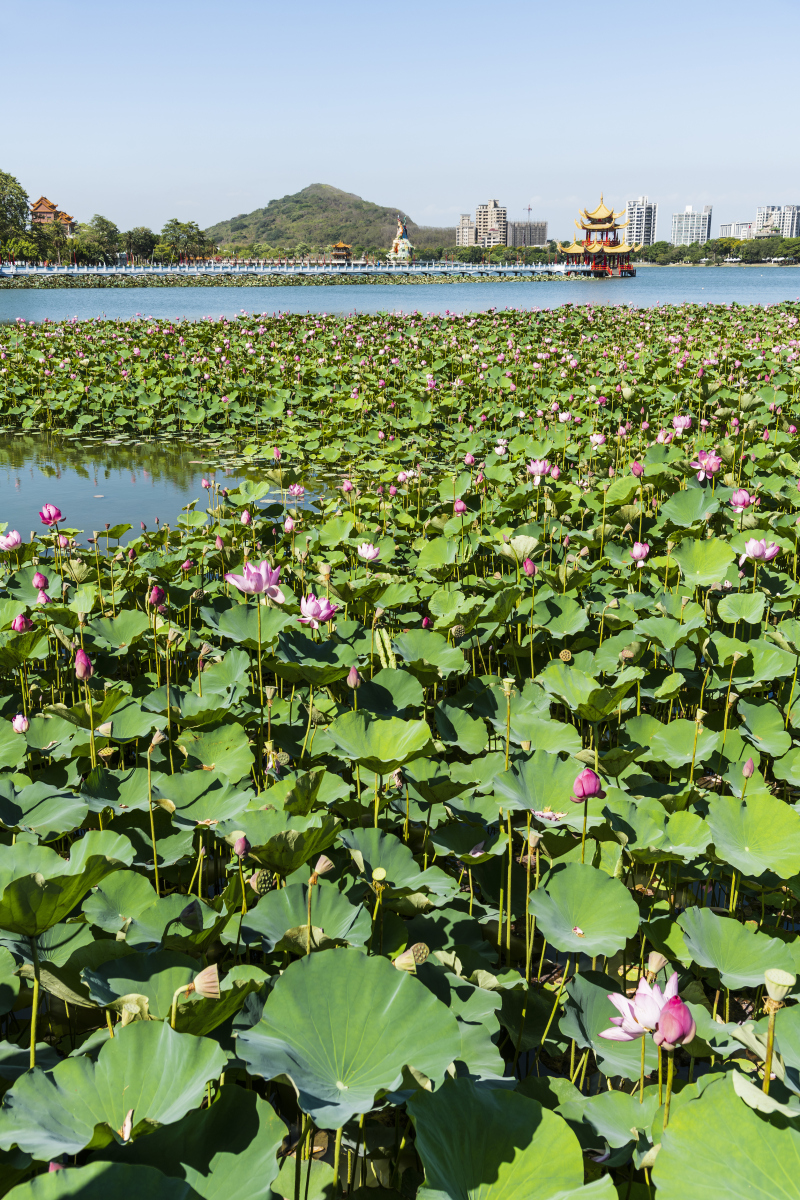 4月3日台湾花莲海域发生7