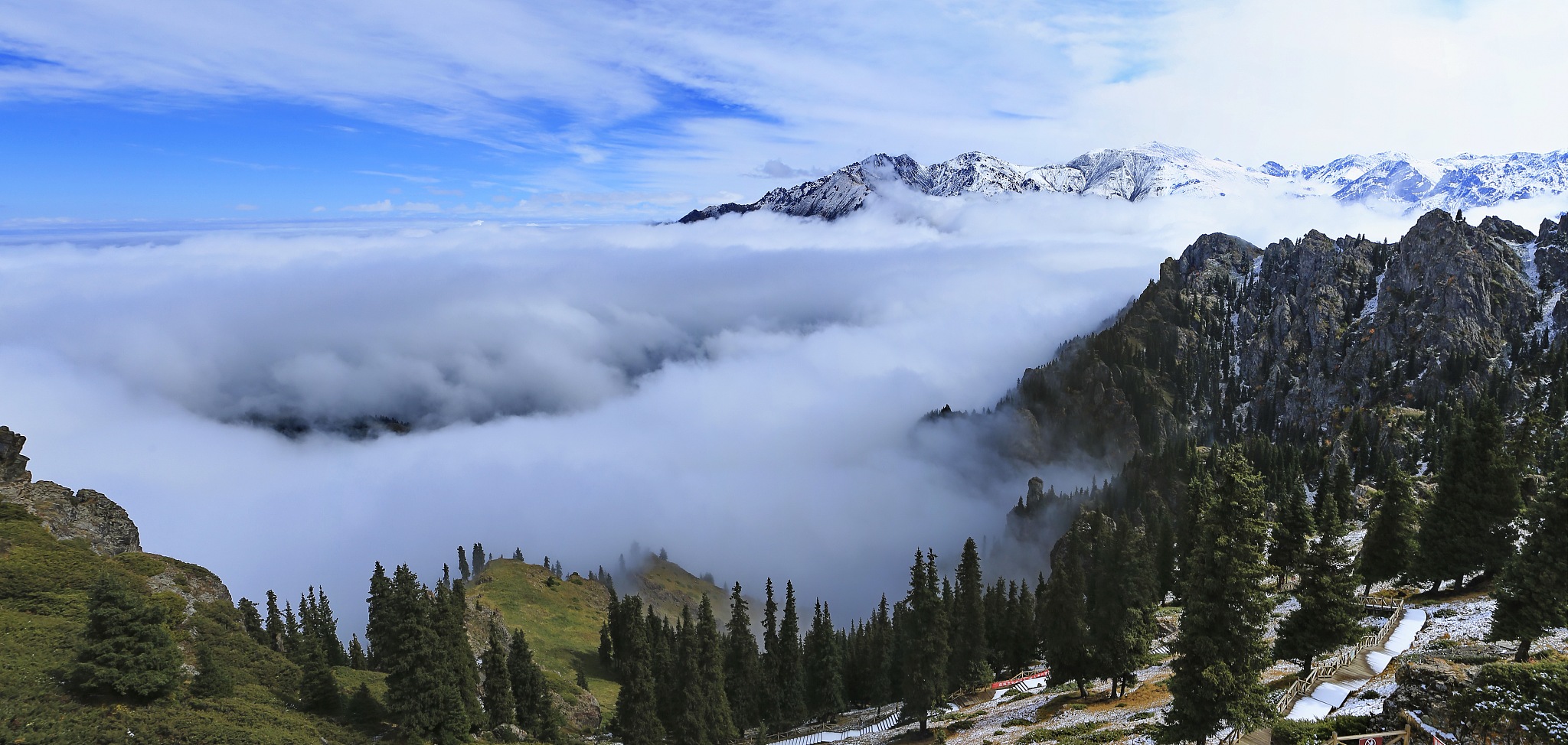 高山奇景：云海缭绕，峰峦雄伟，探秘壮美的高山环境