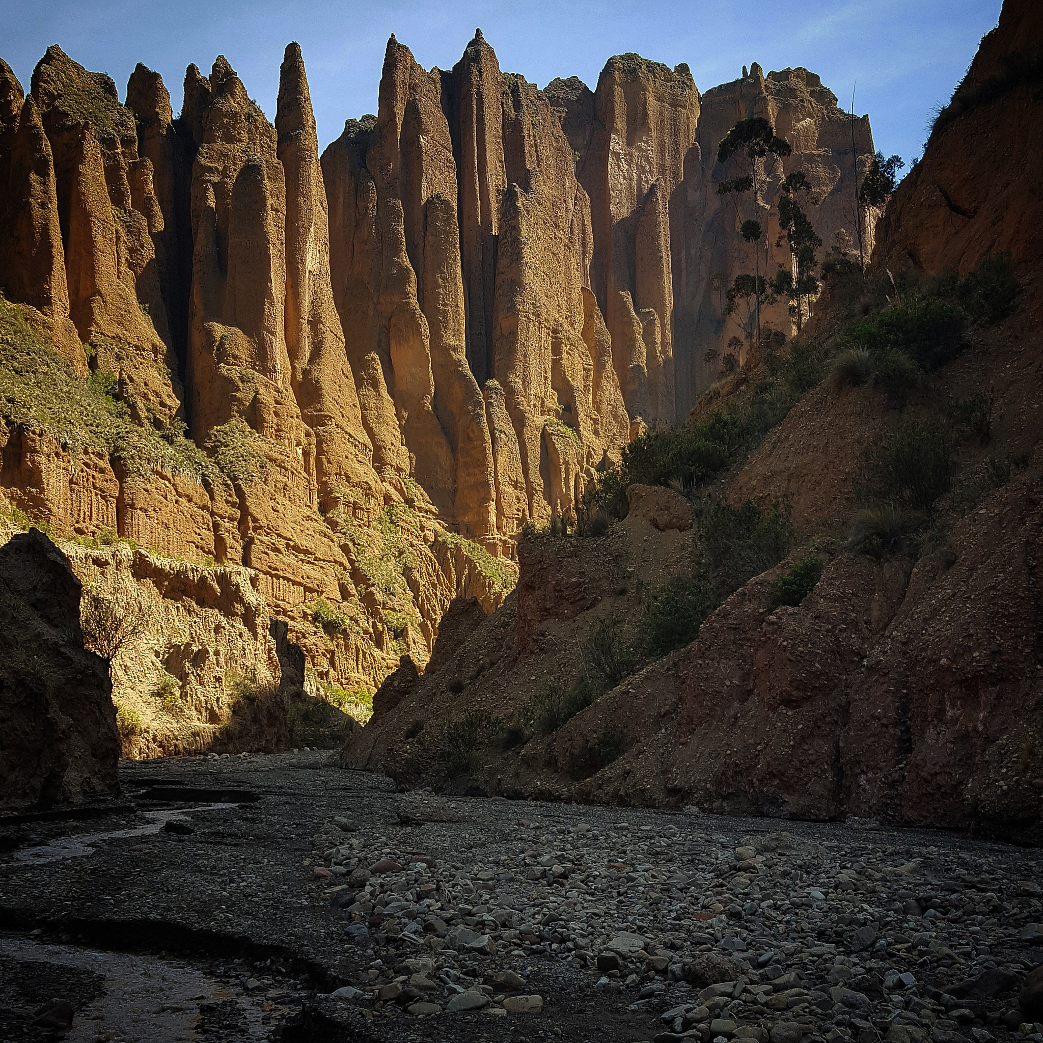 上海梅雨季节形成原因：气候、地理因素分析