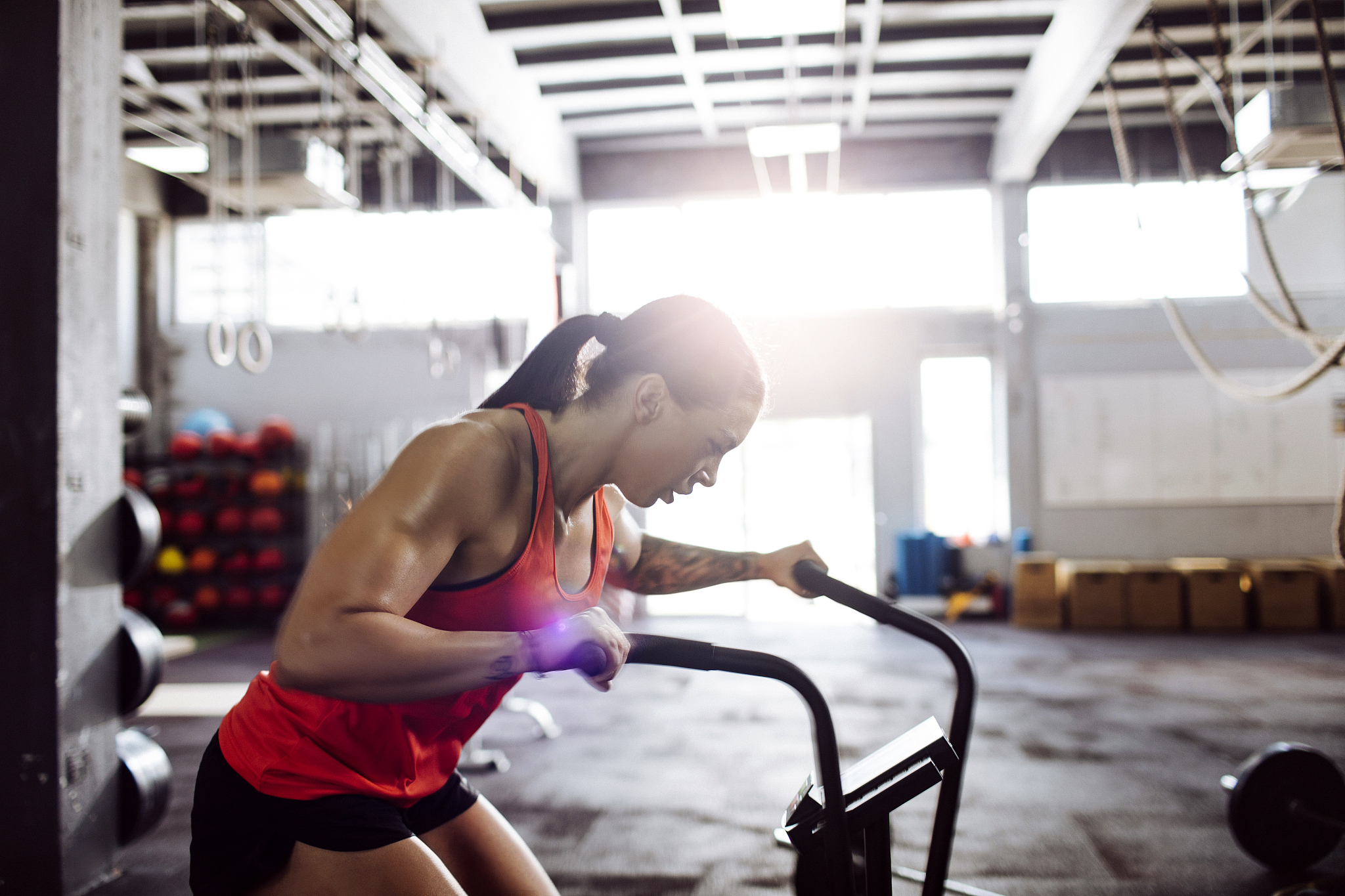 耐力素质：提高运动能力的关键 - 详解心肺耐力、肌肉耐力、心理耐力