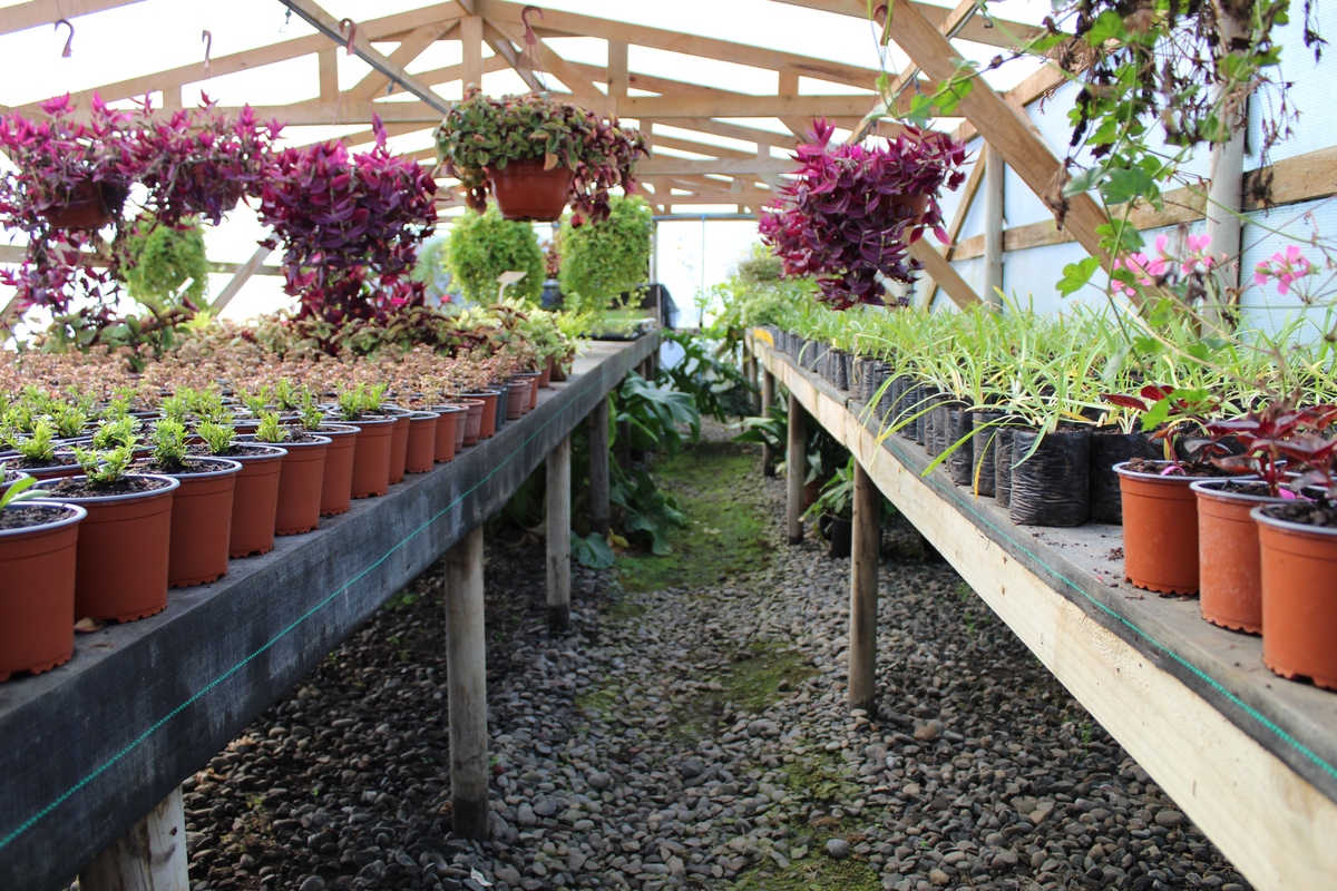 宣传都市农园的抖音热门视频200字脚本文案