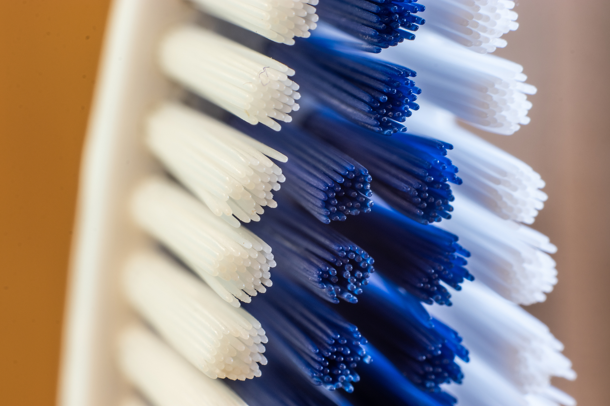 2020锦州市卫生学校招生简章