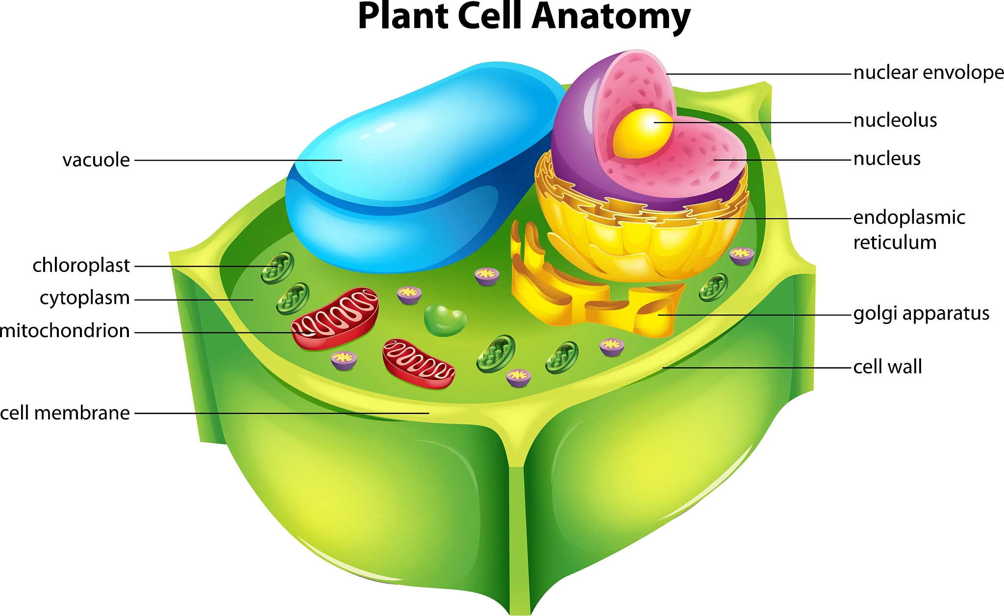 它们是细胞的代谢副产物在植物体中大量产生于线粒体、叶绿体、过氧化物酶体乙醛酸循环体和原生质膜上也能由病原物等诱导产生。把这句话换个表达方式