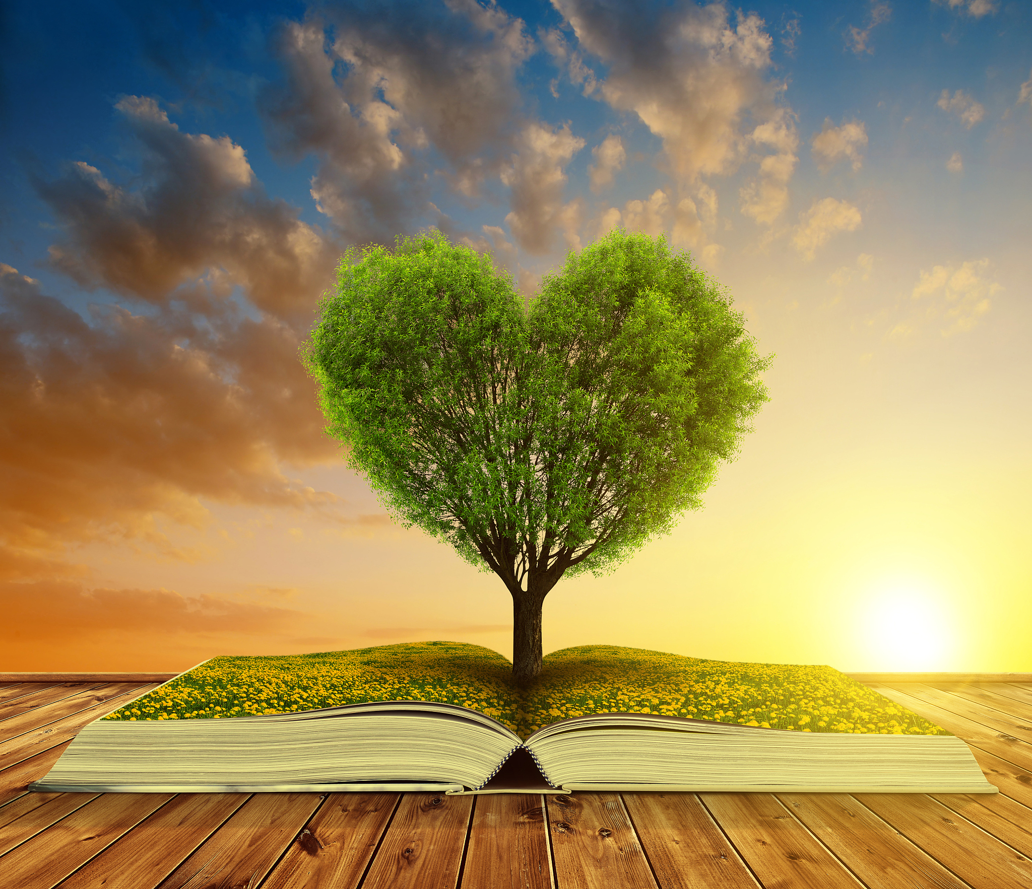 生命的意义：探寻个人价值与社会贡献