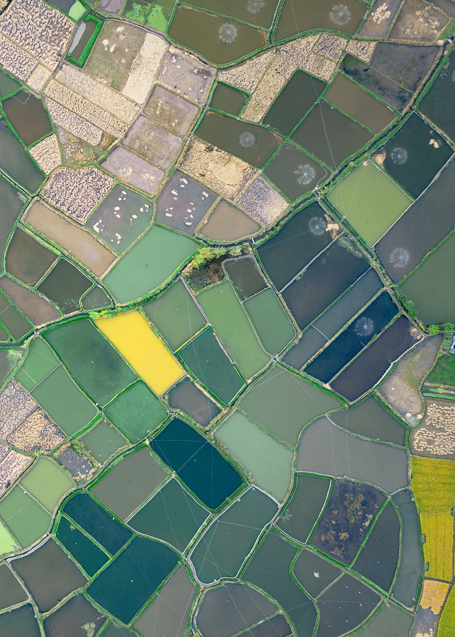 桂林旅游学院旅游管理专业：优势、前景与就业