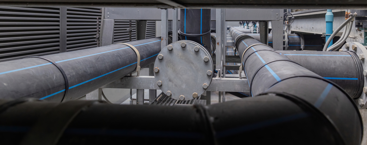 常染色质与异染色质的相同点及重要性：解析染色体结构与功能