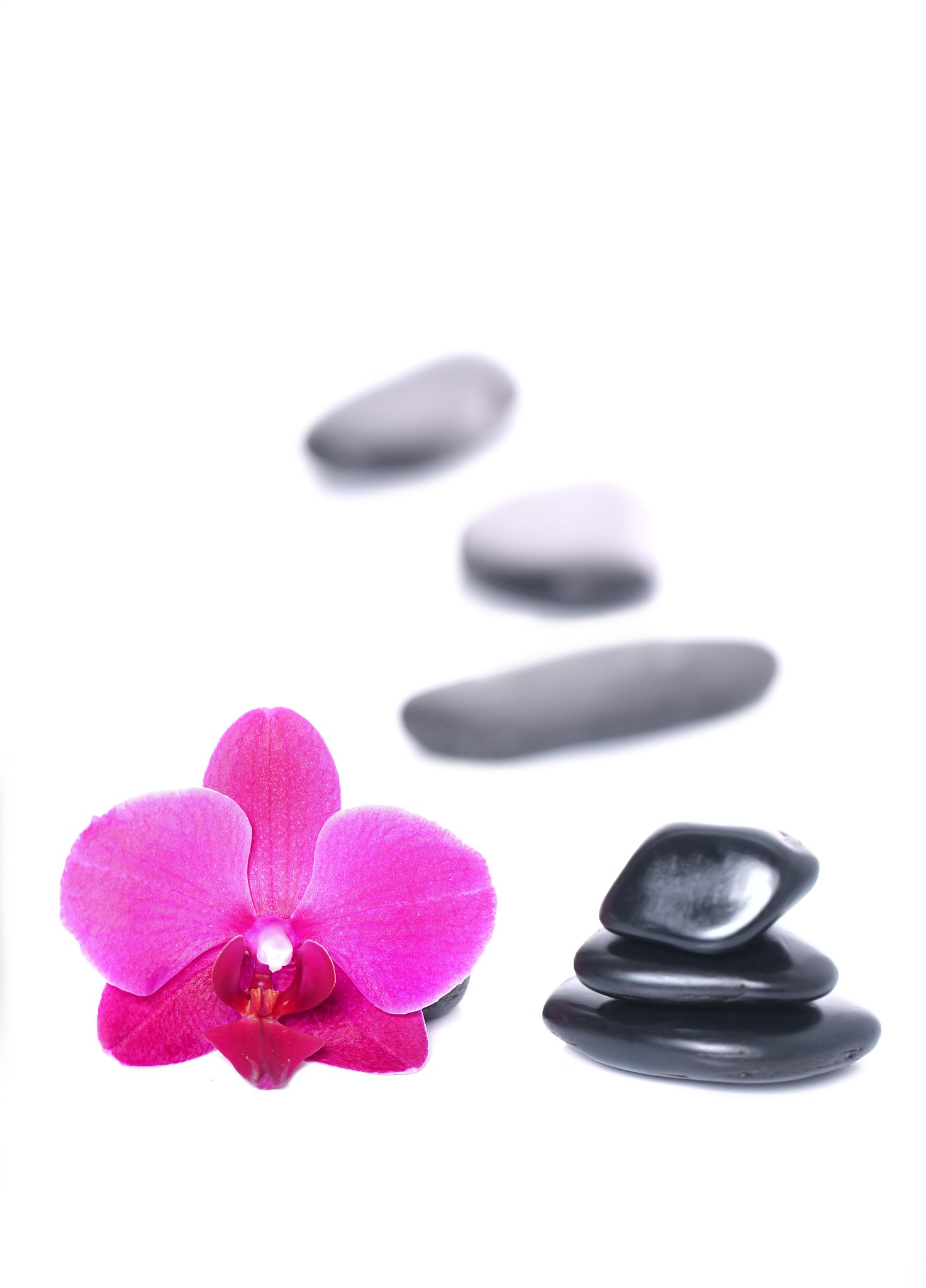 贵州汽车美容与装潢中专中职学校推荐：专业、师资、就业前景