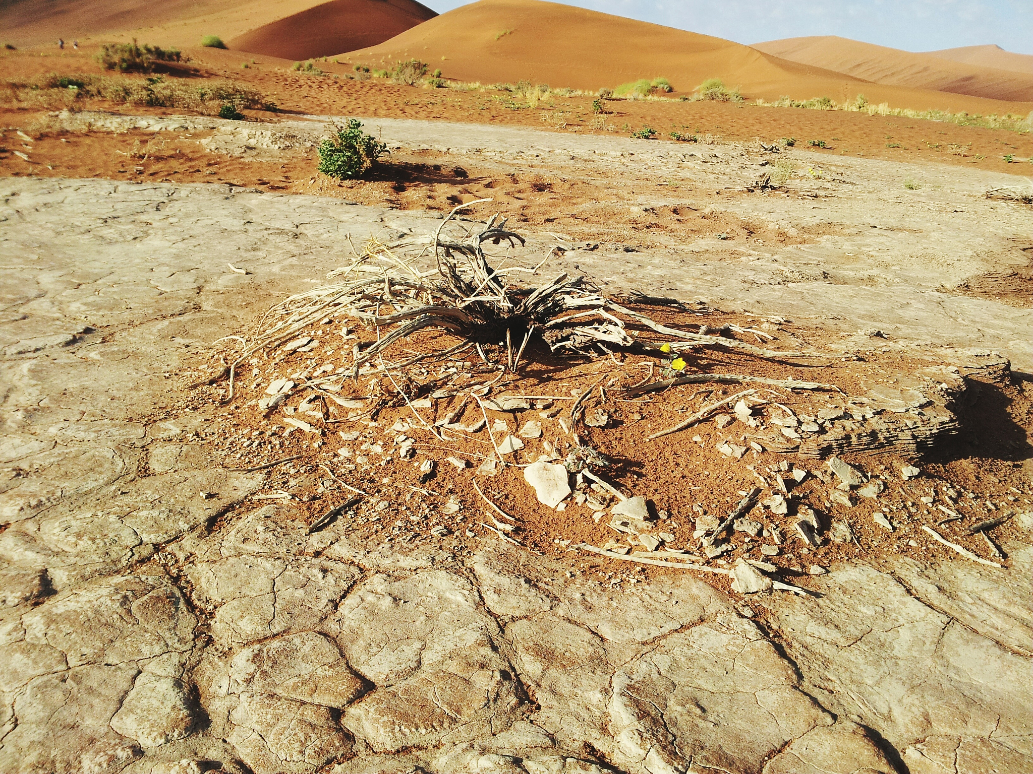 南疆的盐渍土问题