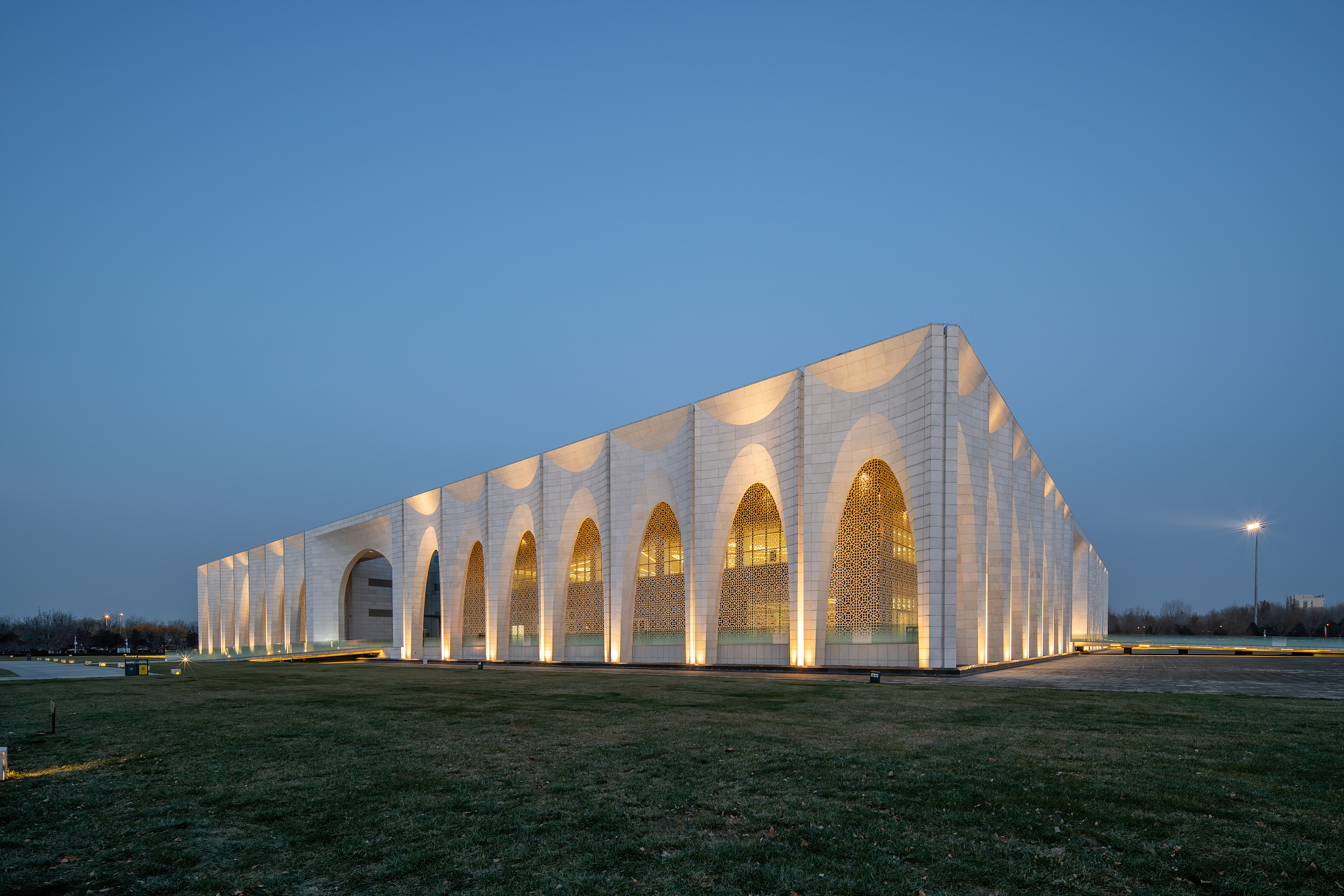 河北哪所学校开设了中药专业？