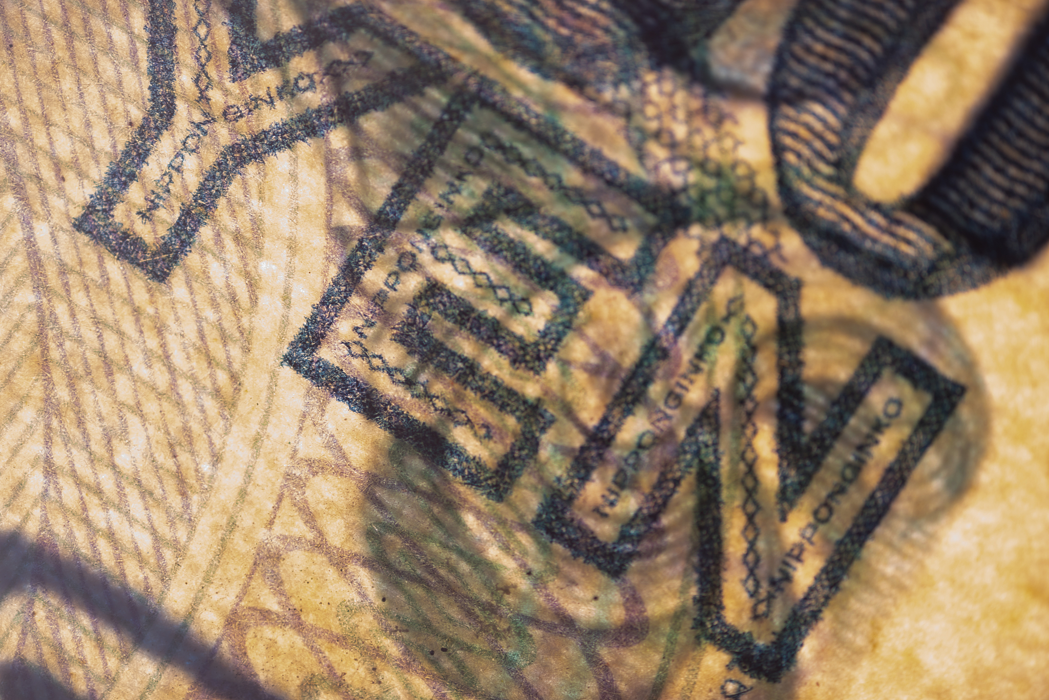 辽宁理工职业学院商务日语专业都学些什么