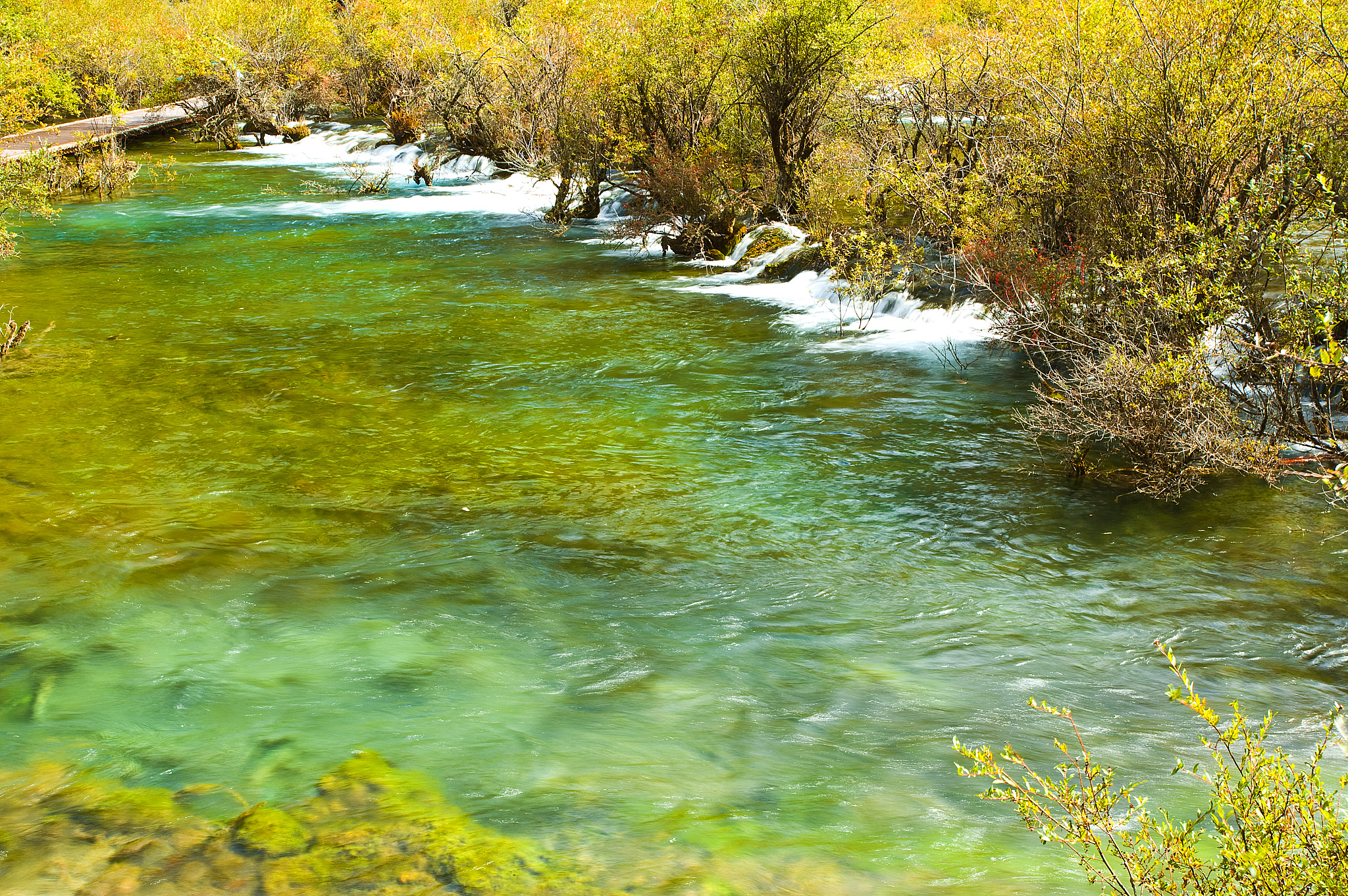 四川省盐业学校2019+工艺美术专业招生