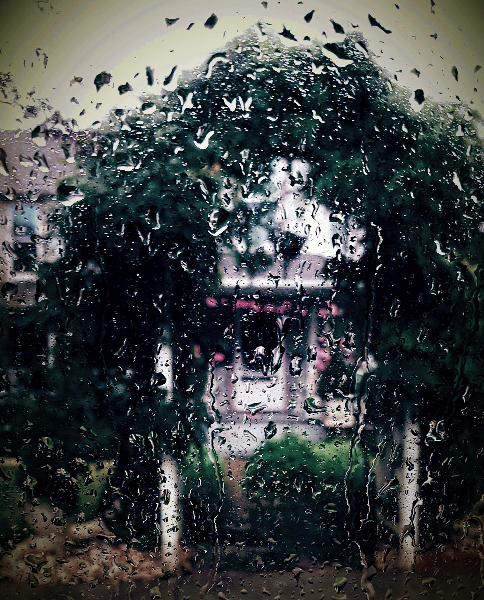 雨夜思绪：一个下雨的小故事