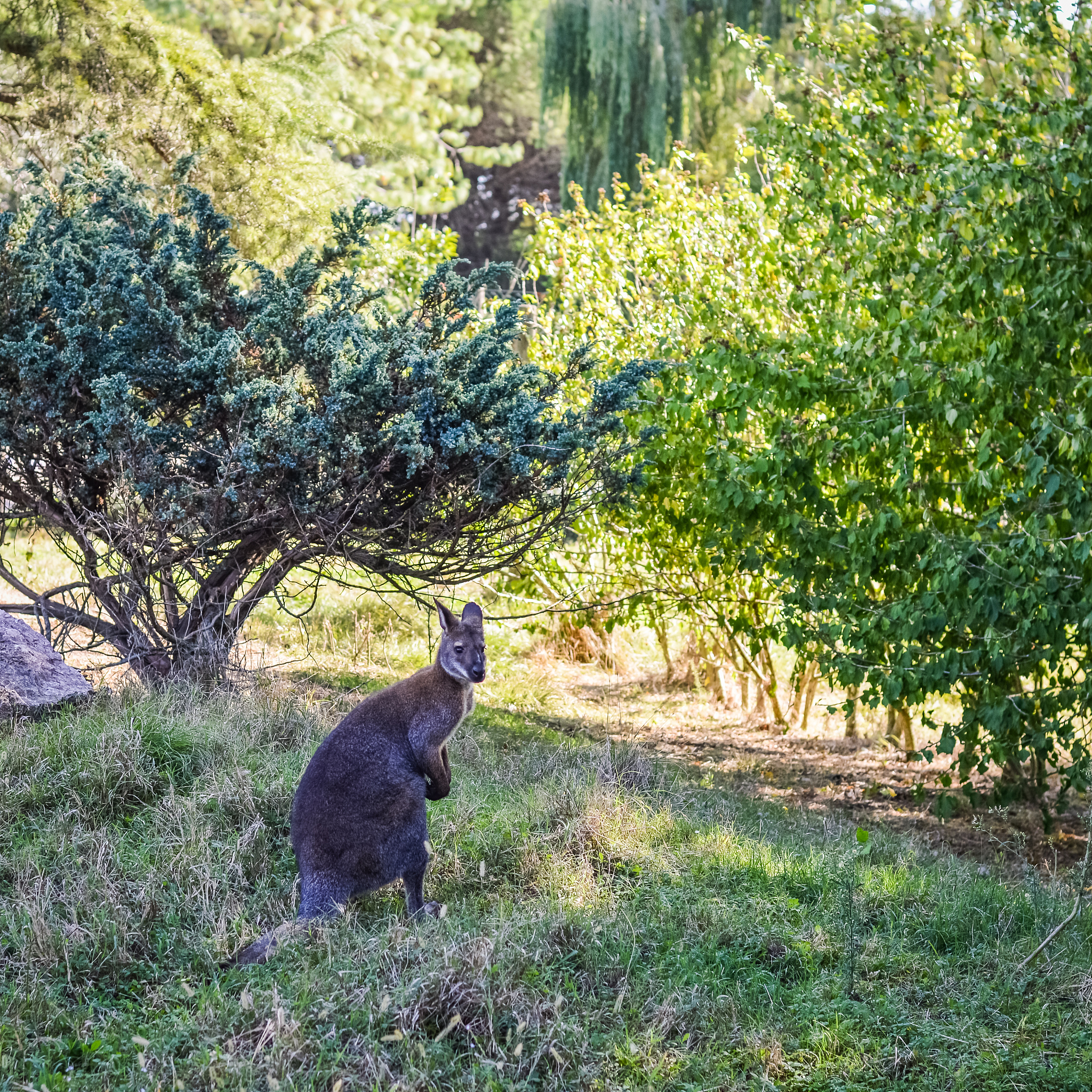 原神深境螺旋配队推荐：1-10层阵容搭配攻略