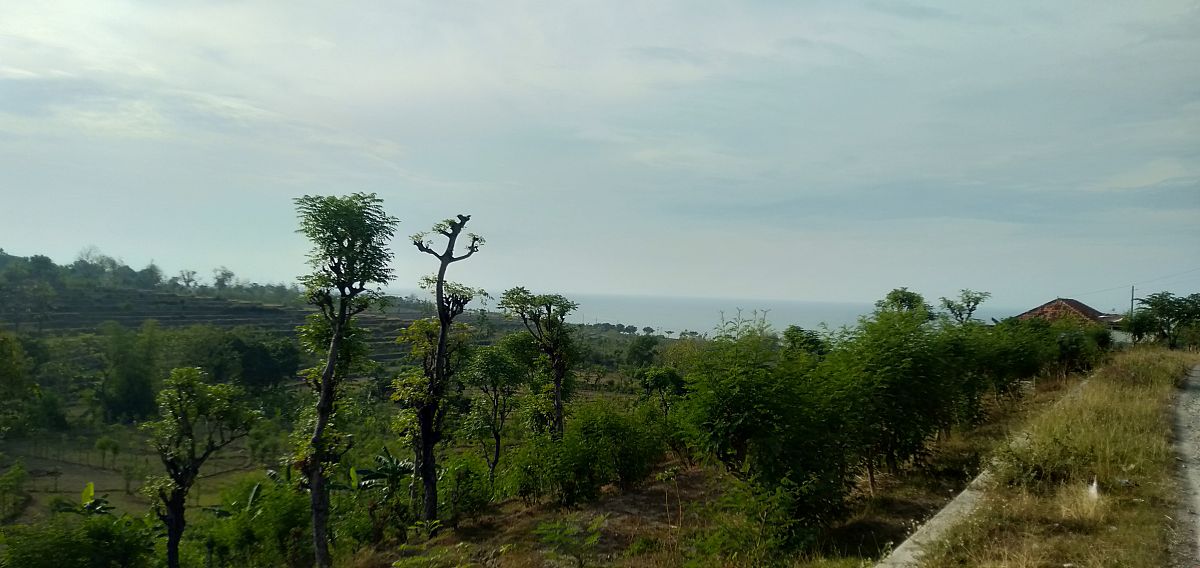 怎么玩我的世界