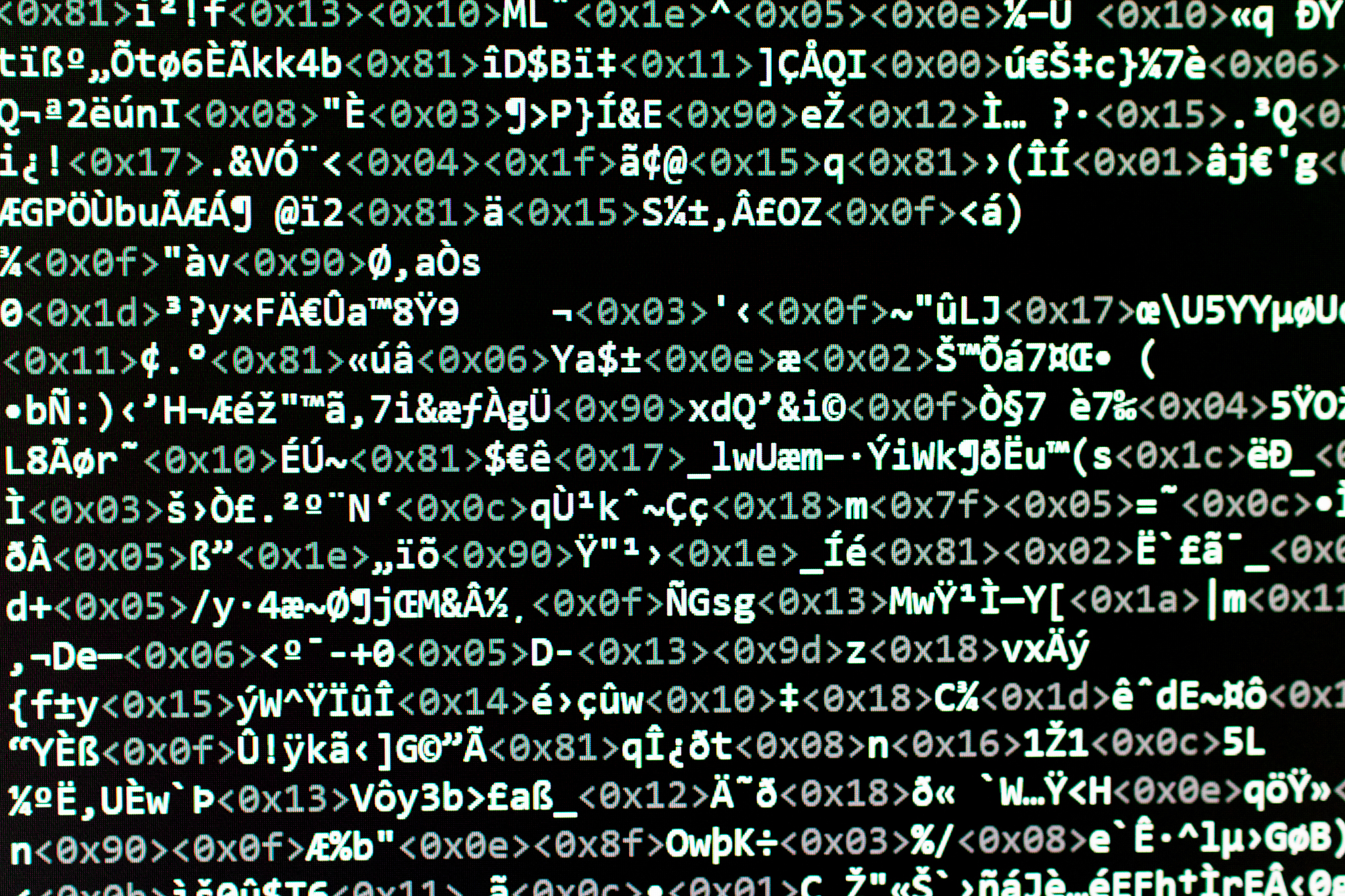 interpreter of software in error reads the wrong code so the sof