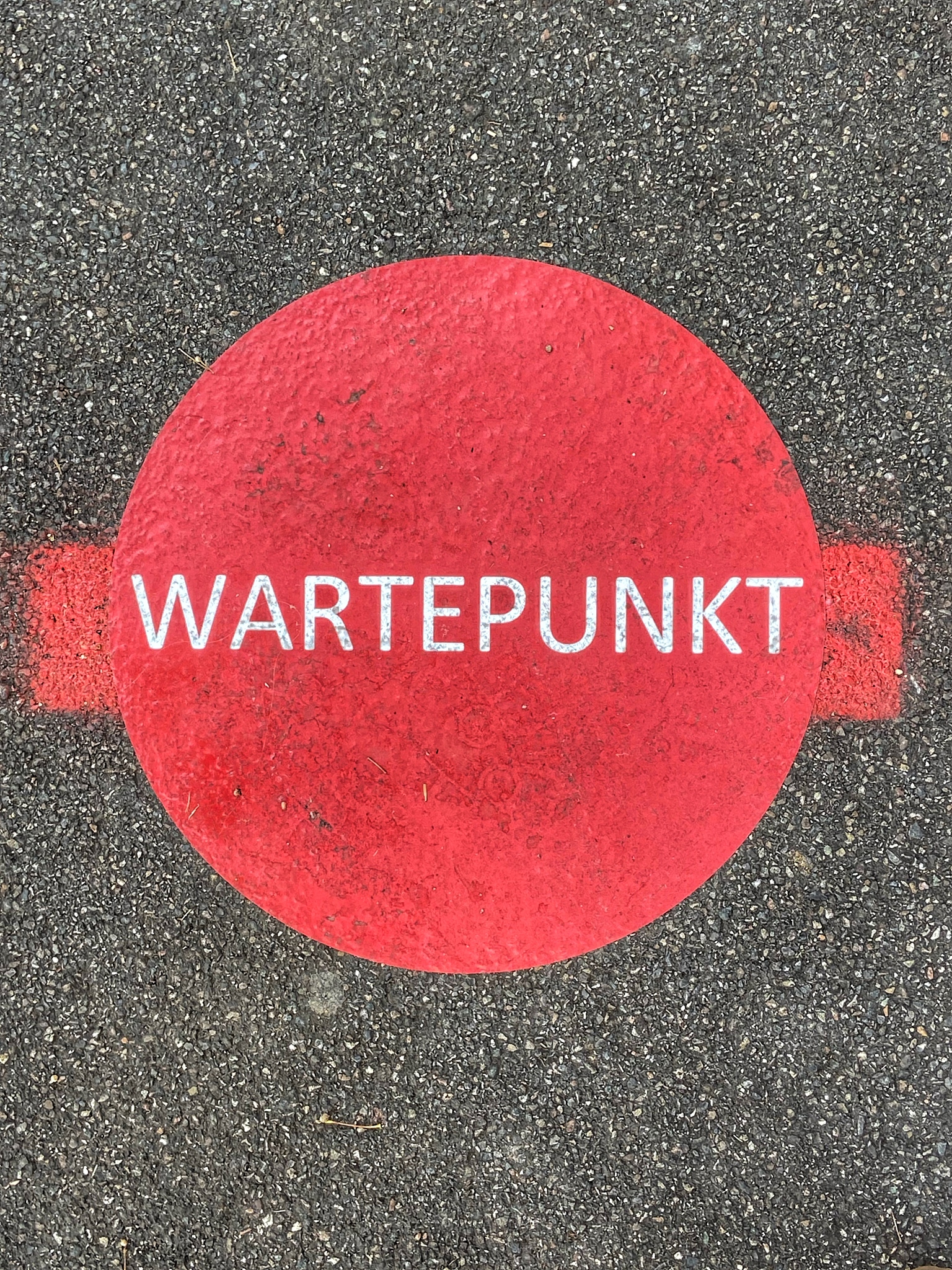 Why I Love the Color Red: A 150-Word Essay