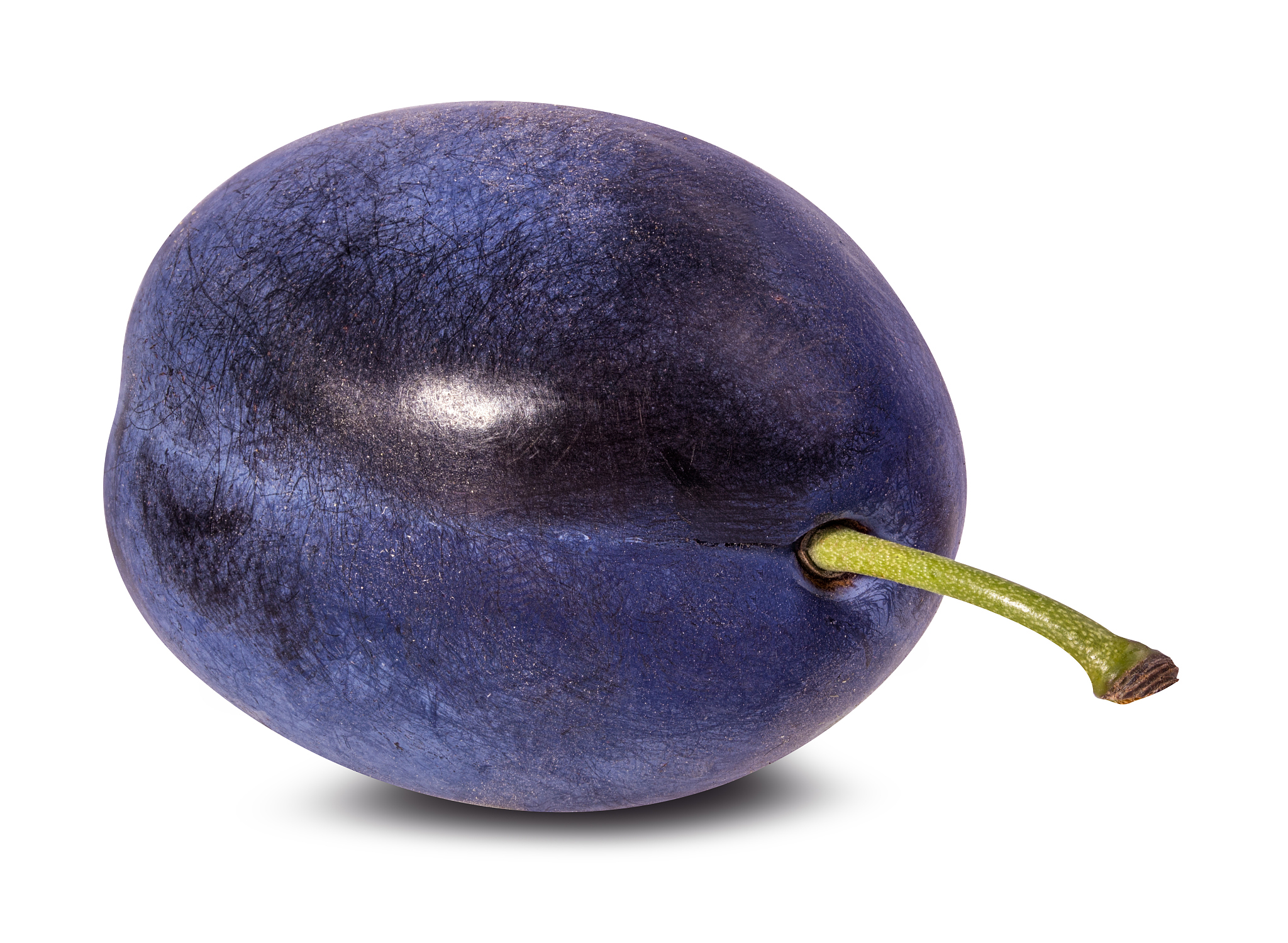 plum on a white