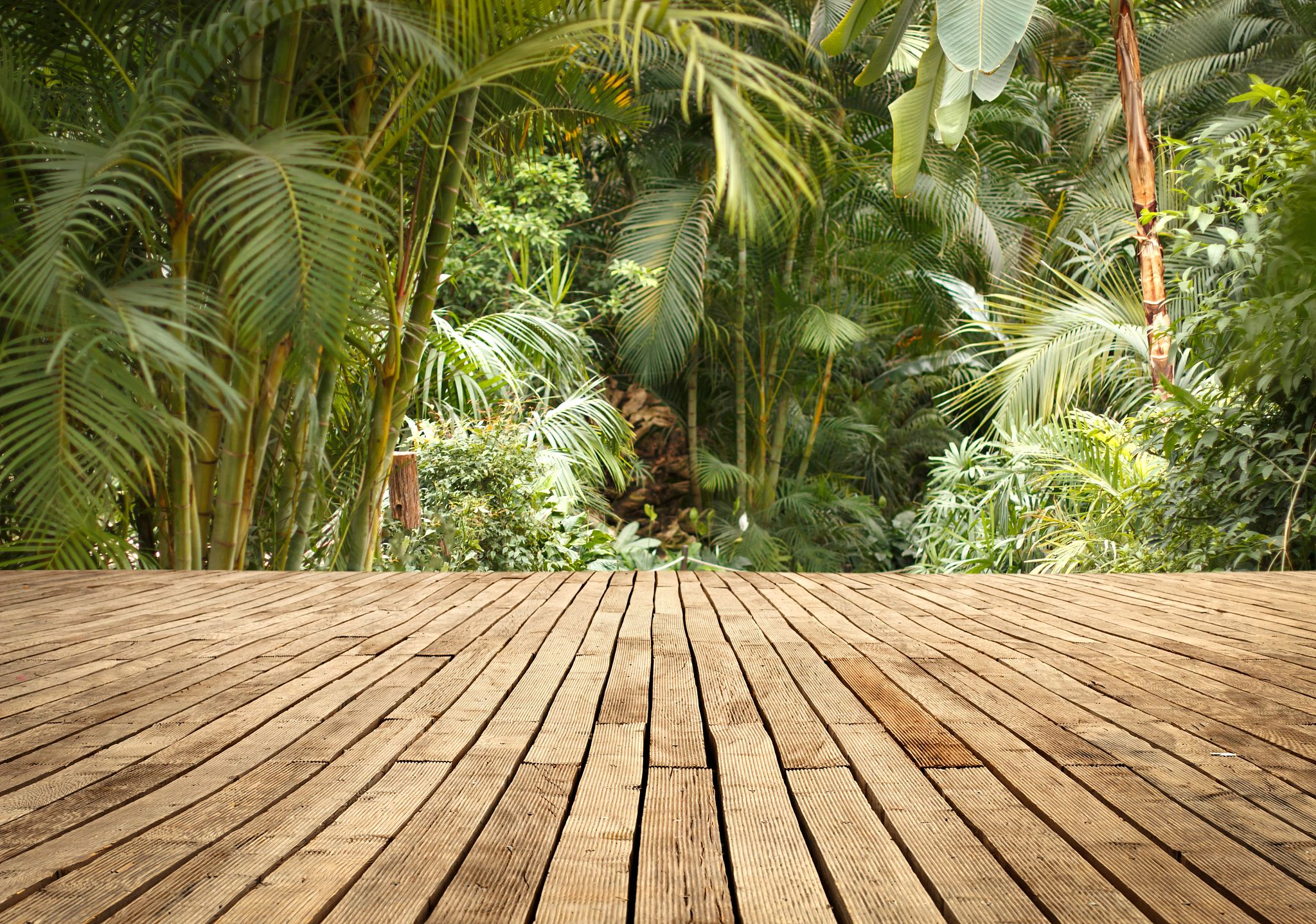 林业工程就业前景广阔：国家政策支持、绿色发展、城市化机遇