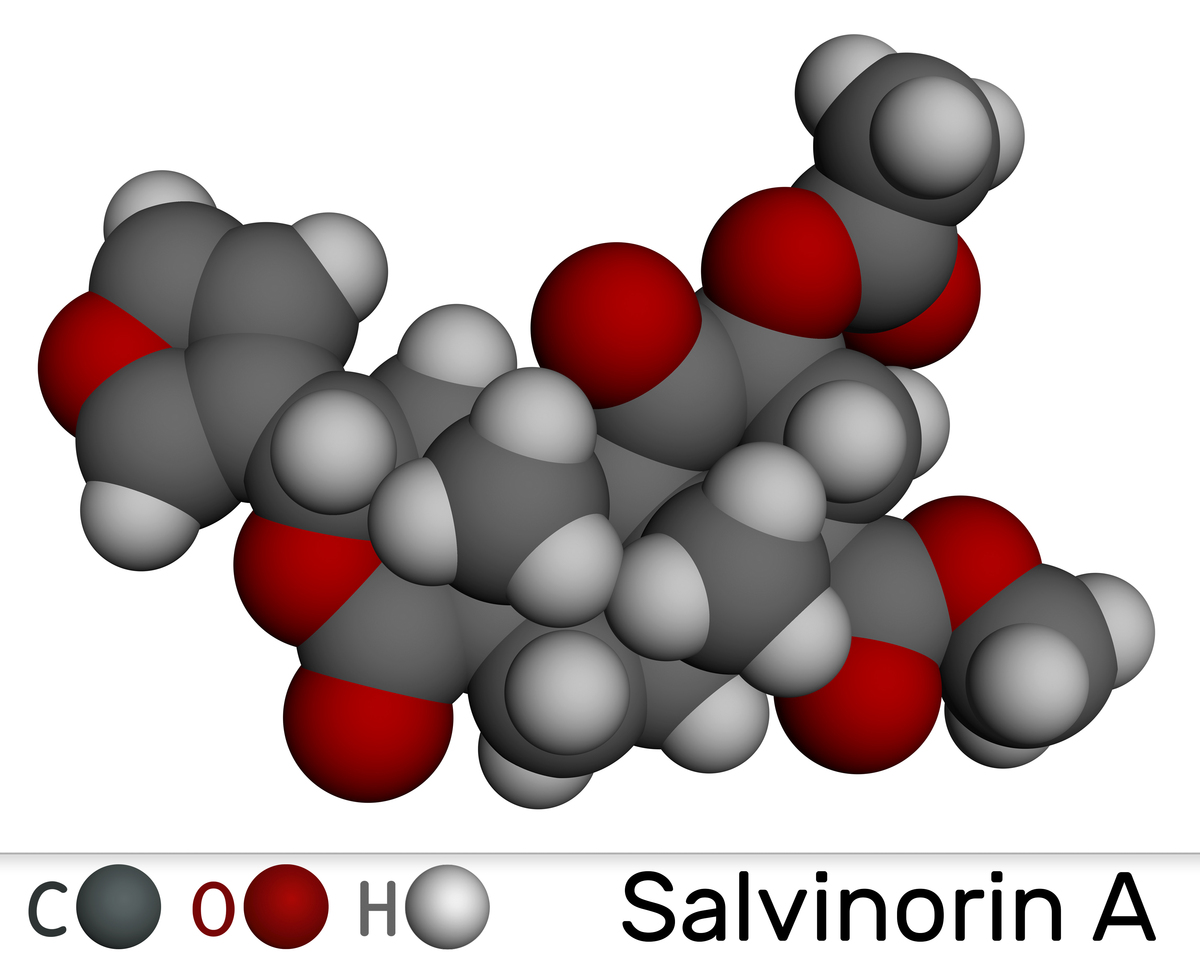 五元高熵氧化物合金的制备及其催化油脂加氢脱氧研究