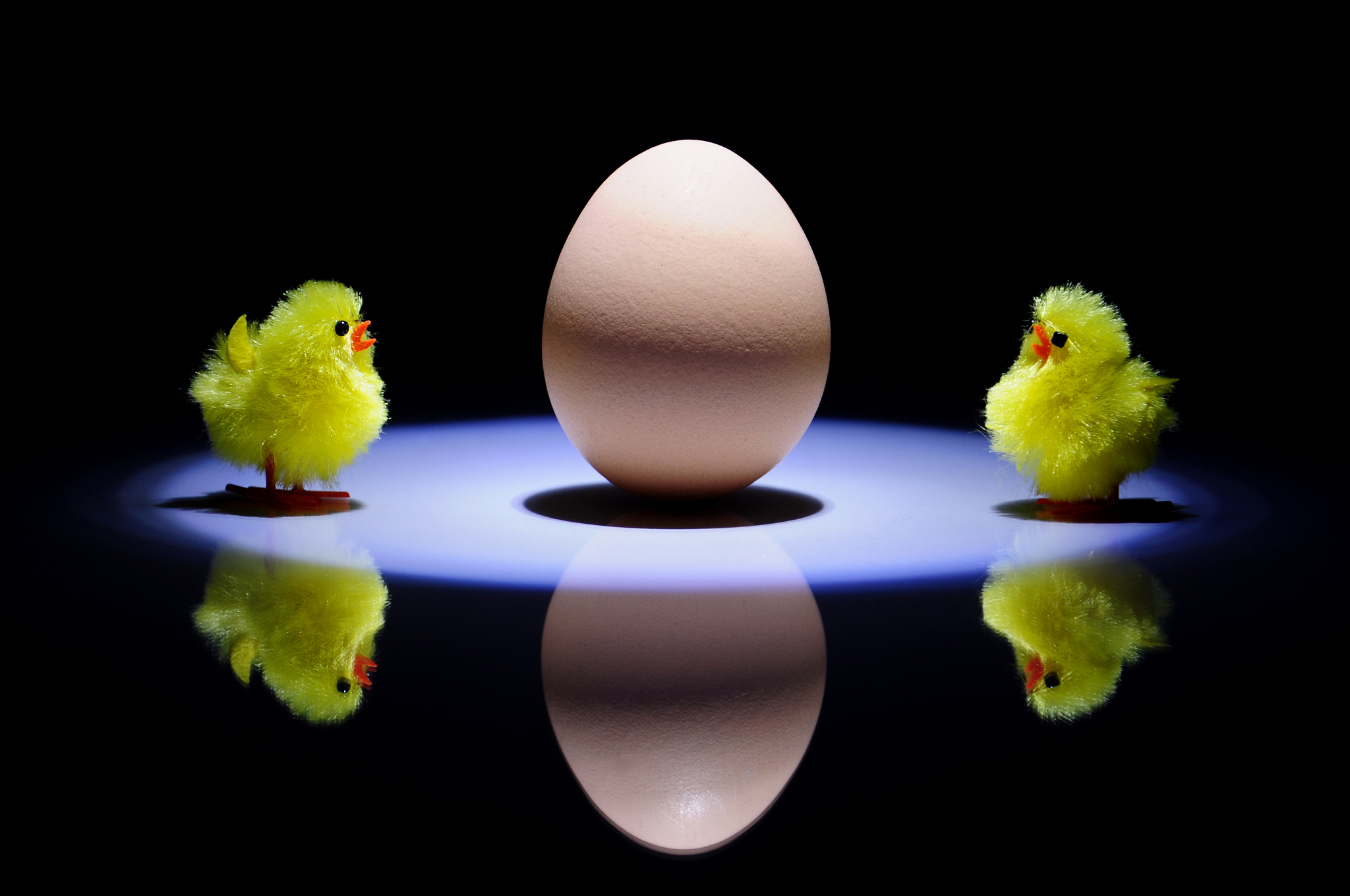 是先有鸡还是先有蛋呢？