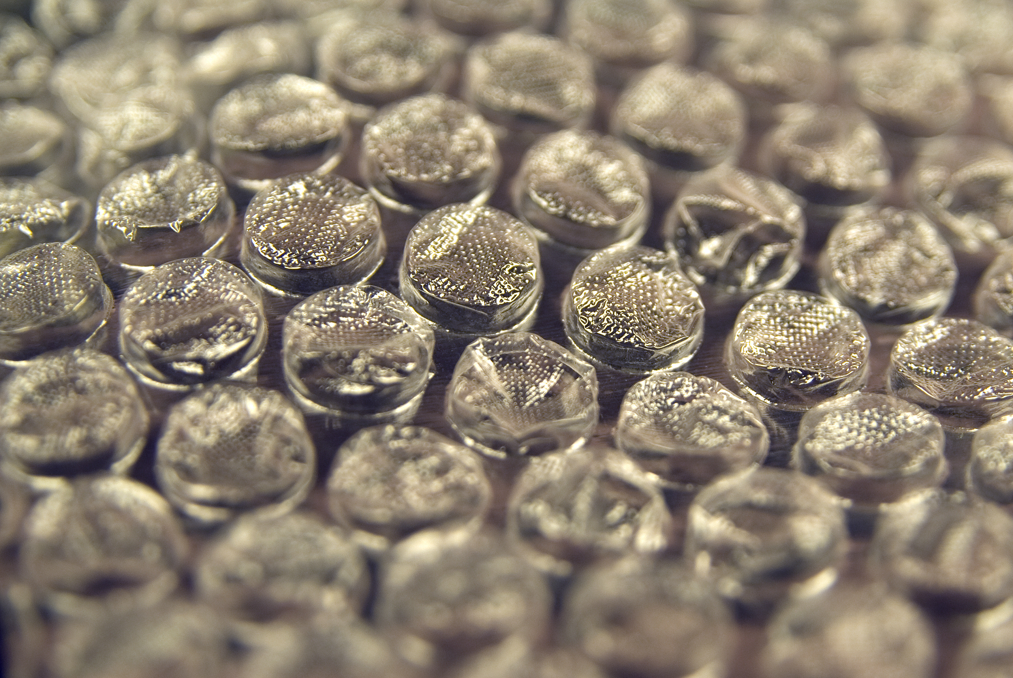 bubble wrap film