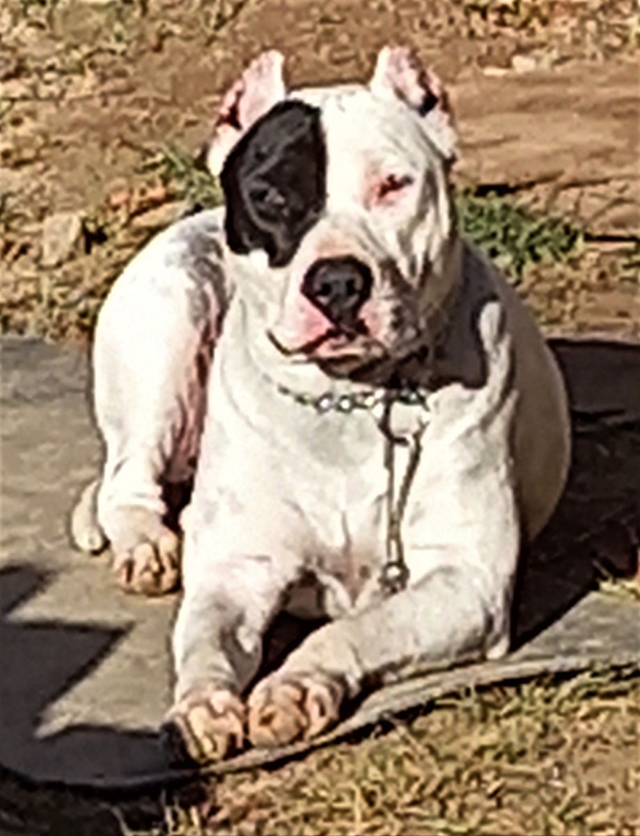 10个爆笑话题让你笑破肚皮！