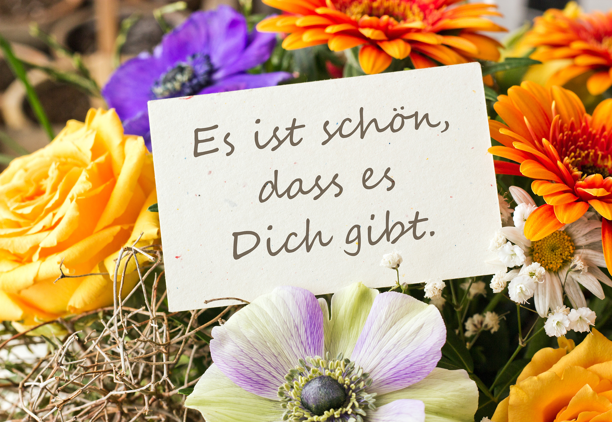 谢谢你再见周末愉快！